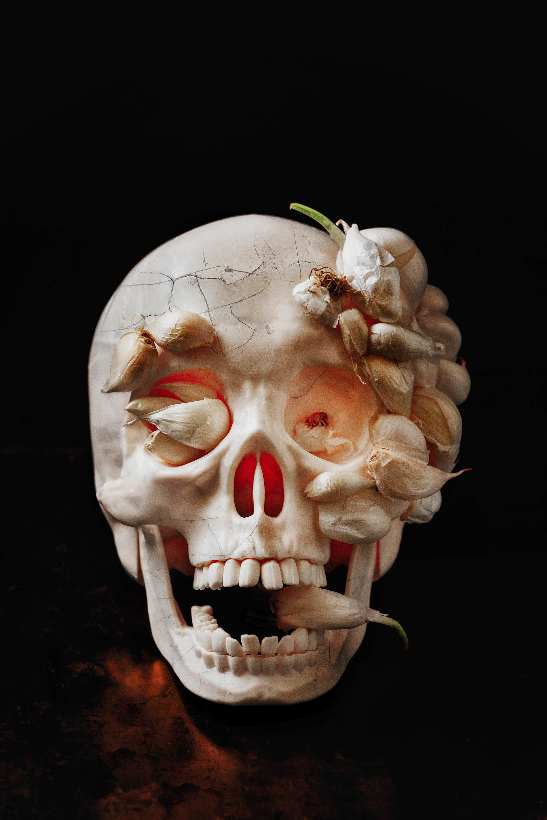 conceptual still life with skull and garlic referencing anatomy