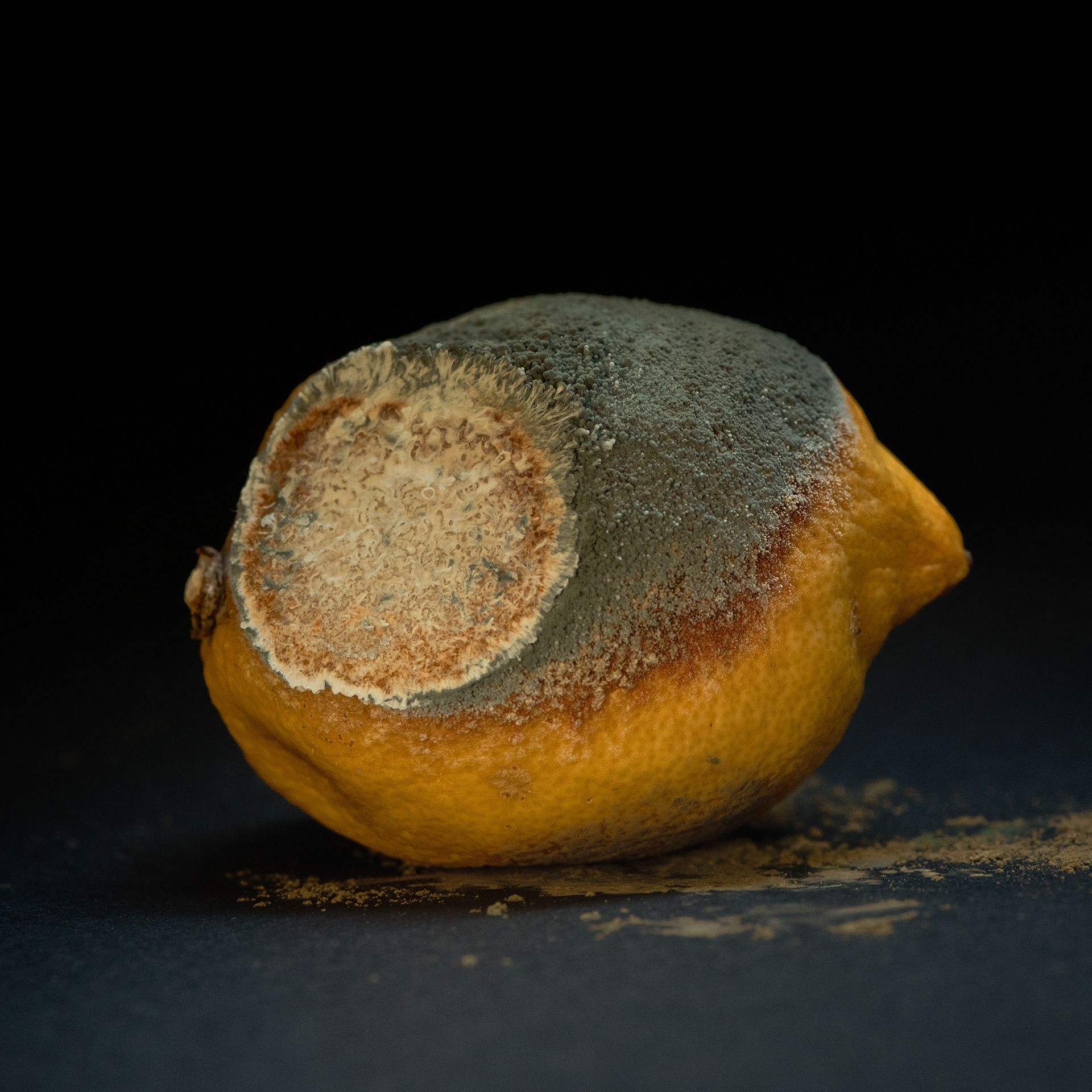mouldy lemon surface detail still life study