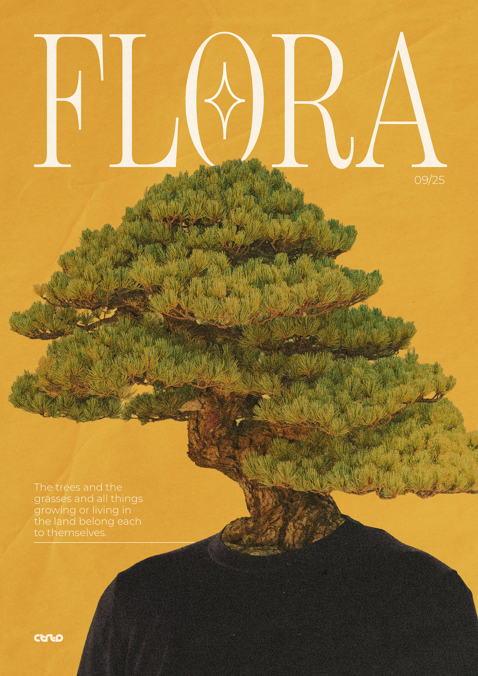 2) September 2025 - Flora