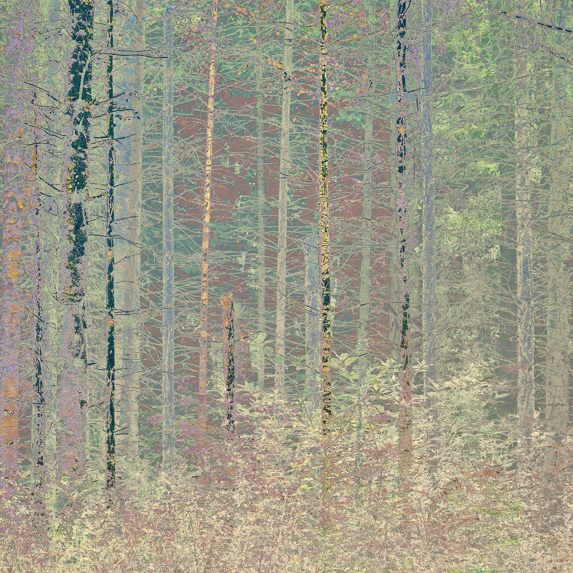 Pining 2