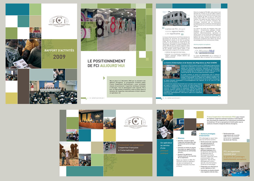 Rapport d'activités FCI