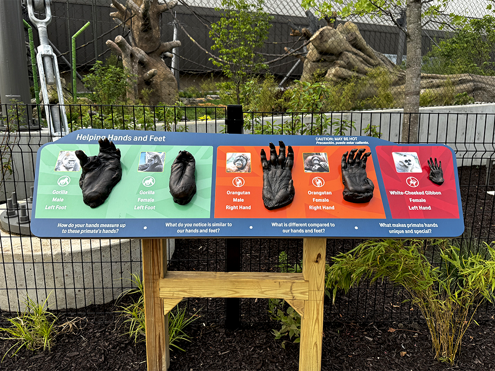 Helping Hands and Feet interactive