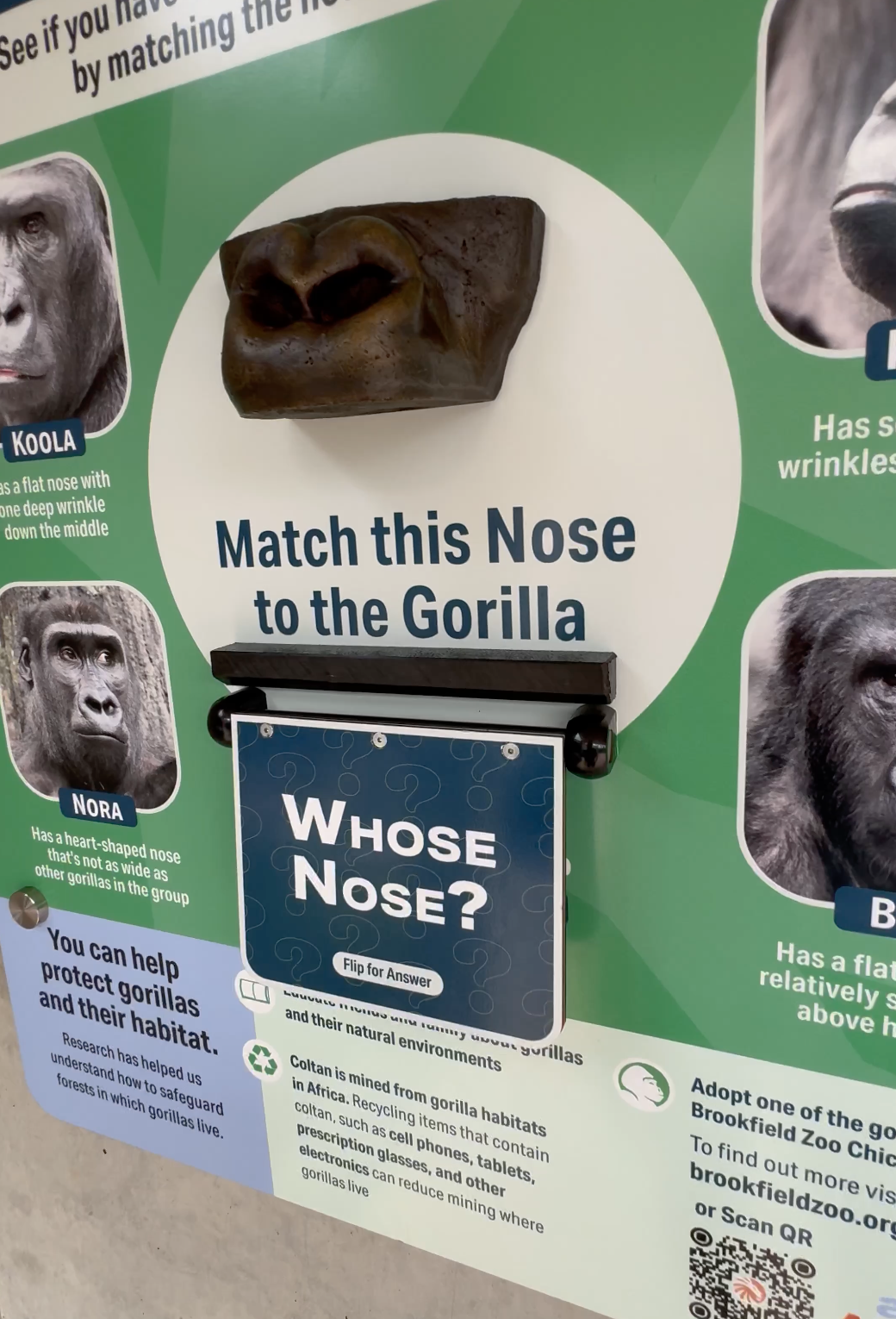 Nosey Identification interactive sign