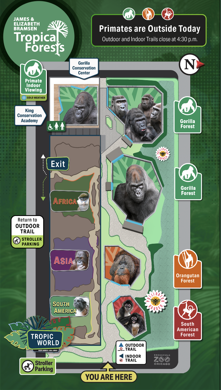 Tropical Forests digital map