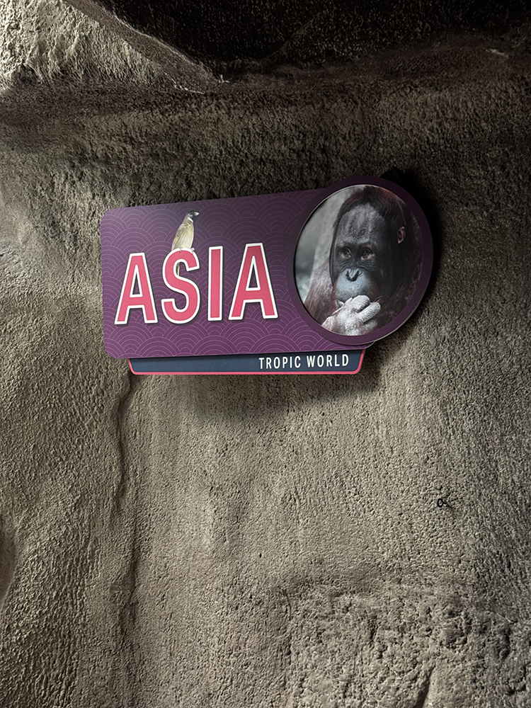 Tropic World Asia title sign