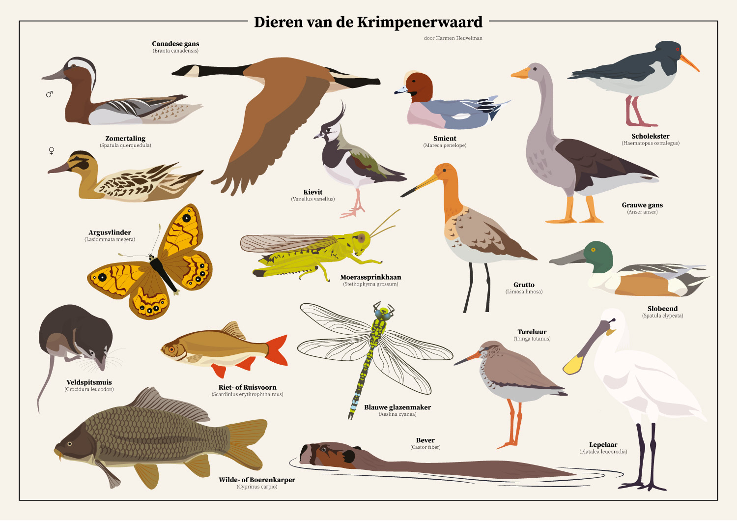 Harmstar dierenkaart krimpenerwaard