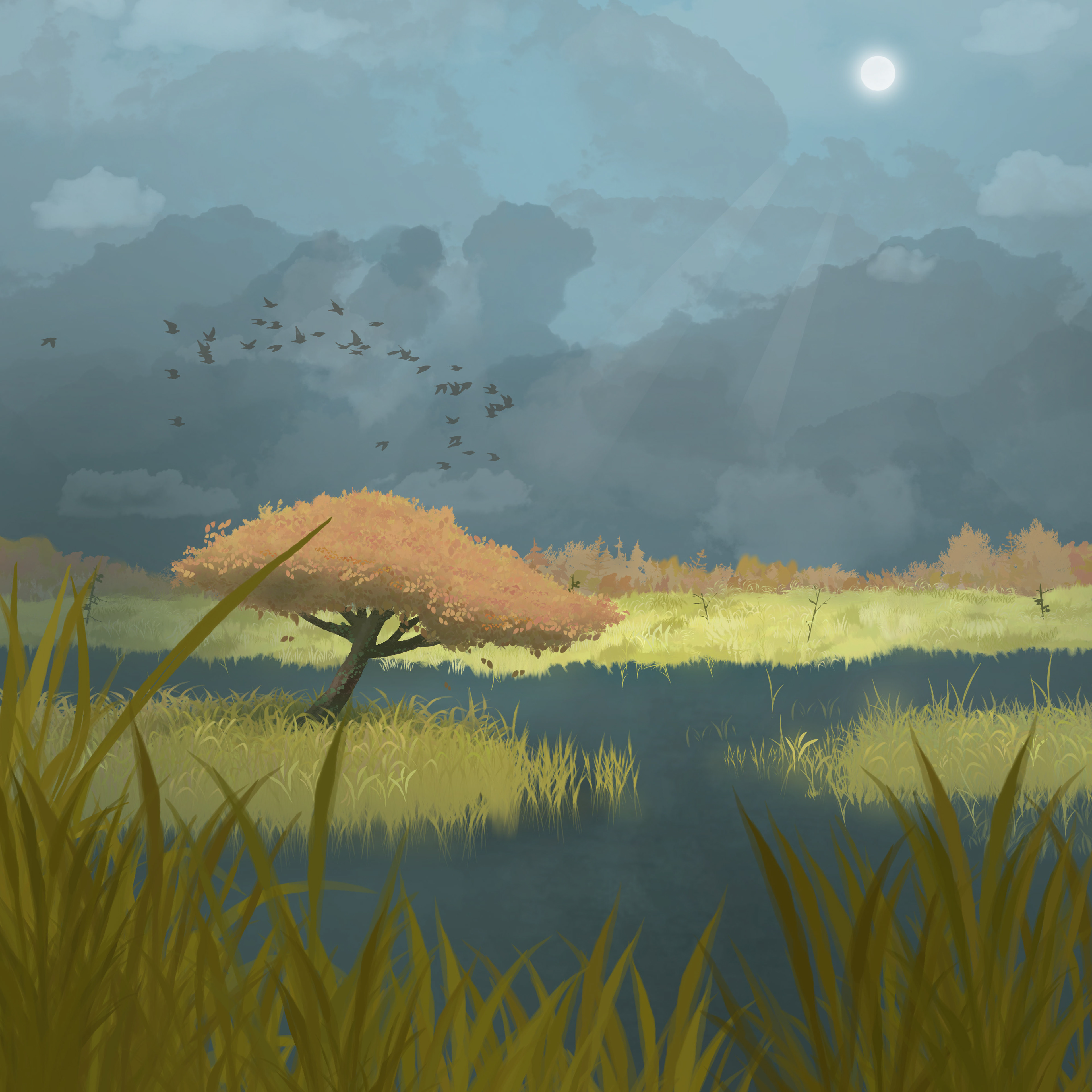 Harmstar landschap moeras vogels