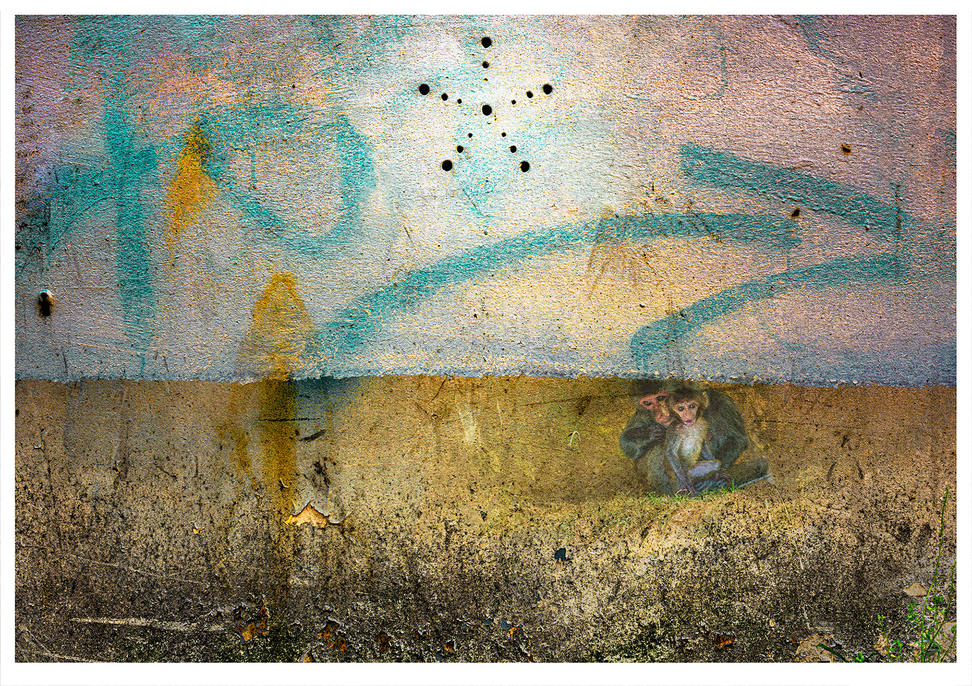 NORTH STAR We should navigate away from the alarming decline of global biodiversity due to habitat loss, climate change, and human activities. Animals, birds, amphibians, reptiles, fish, insects, plants are all affected. Photograph of two toned textured wall in earth colours, below pinkish and white above with a blue arrow graffiti pointing out of centre to the right. Centre top of image is a star shaped piercing in the wall, starlike. At the horizontal halfway point and just beneath is a mother and baby monkey huddled, looking to camera. The metaphor of hope for nature, and wildlife suggested by the metaphorical star.