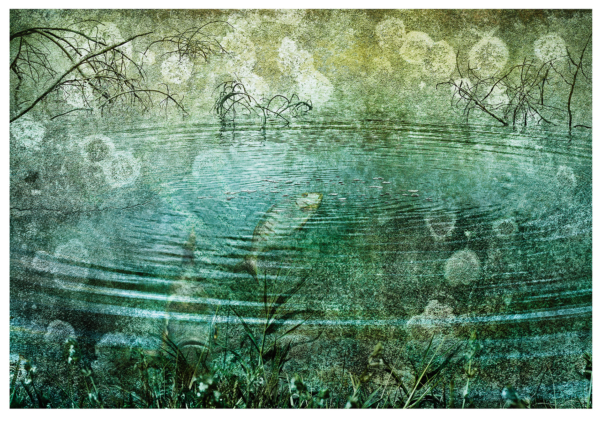 Second in series also with a distressed wall and bubble like encrustings with water ripples added and a surfacing fish overlaid. The result is quiet misty lake in aqua colours with a fish just below the surface
