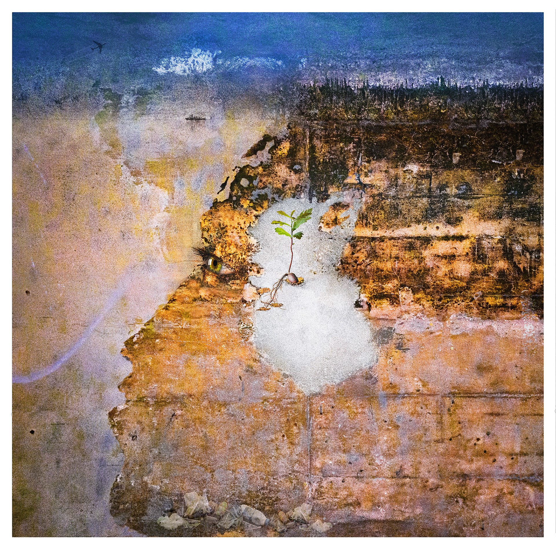 distressed wall with black stains and markings is revealed beneath peeled off plaster. The shape closely resembles a female's face form the side. a white cloud, remaining cement, is just behind an added green eye. In the cloud an acorn has sprouted 6 small leaves. On top of the 'face' a city appears formed by the stains. the colours are rich browns with blue 'sky'. the image shows the thoughtful person thinking of environmental issues represented by the acorn some plastic waste at the base and a small graphic of an aircraft and ship to the top.