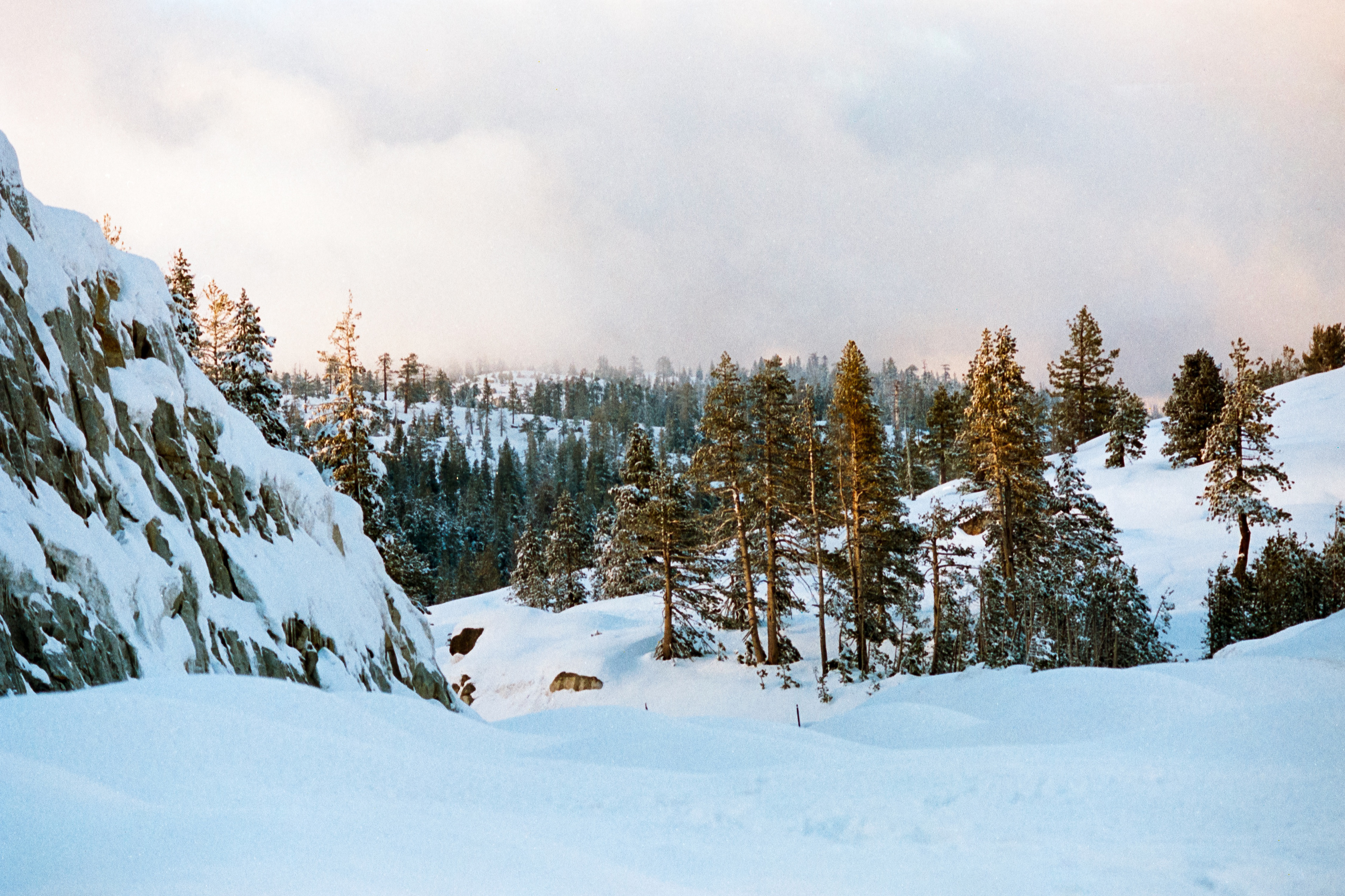 Portra 400