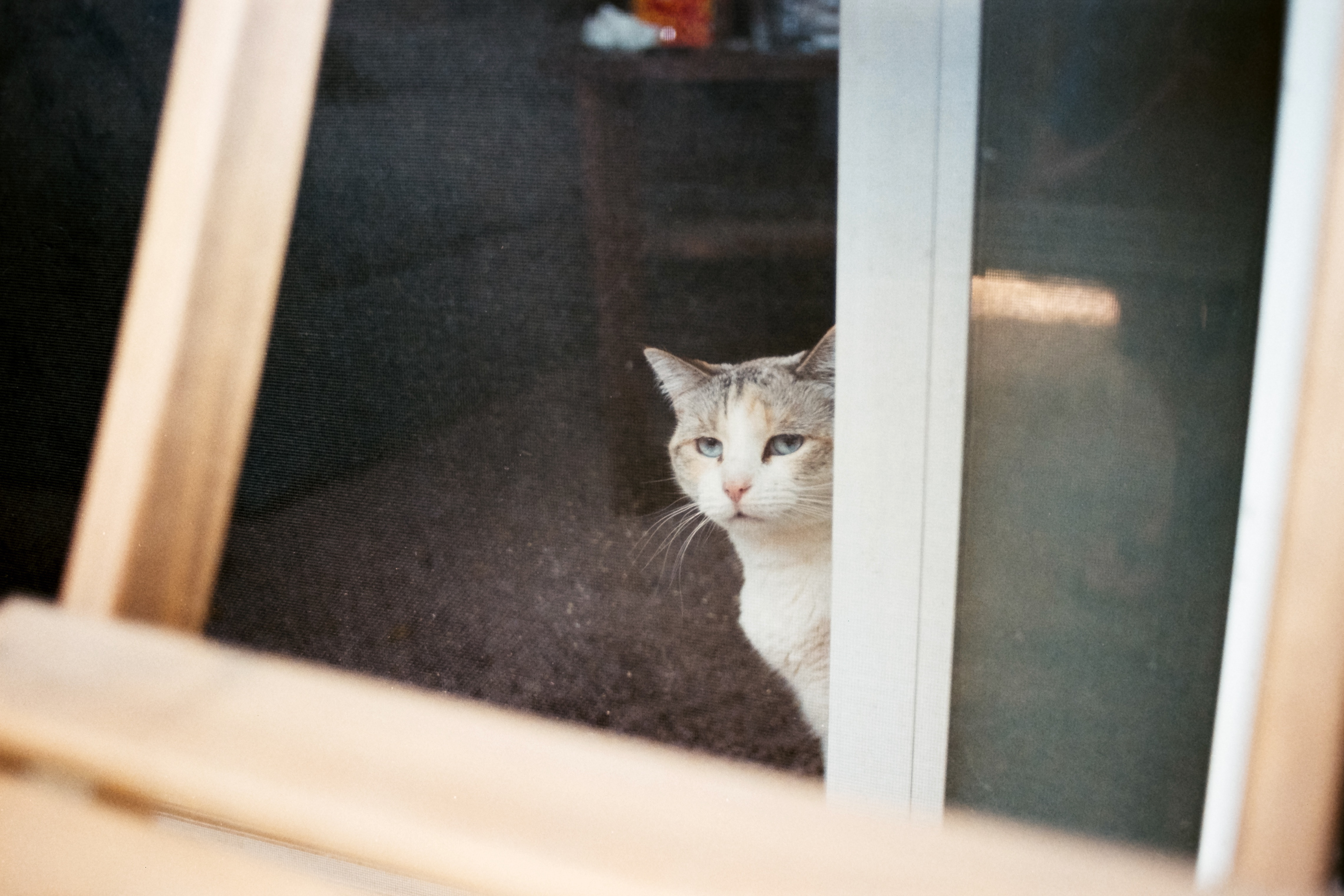 Superia 400
