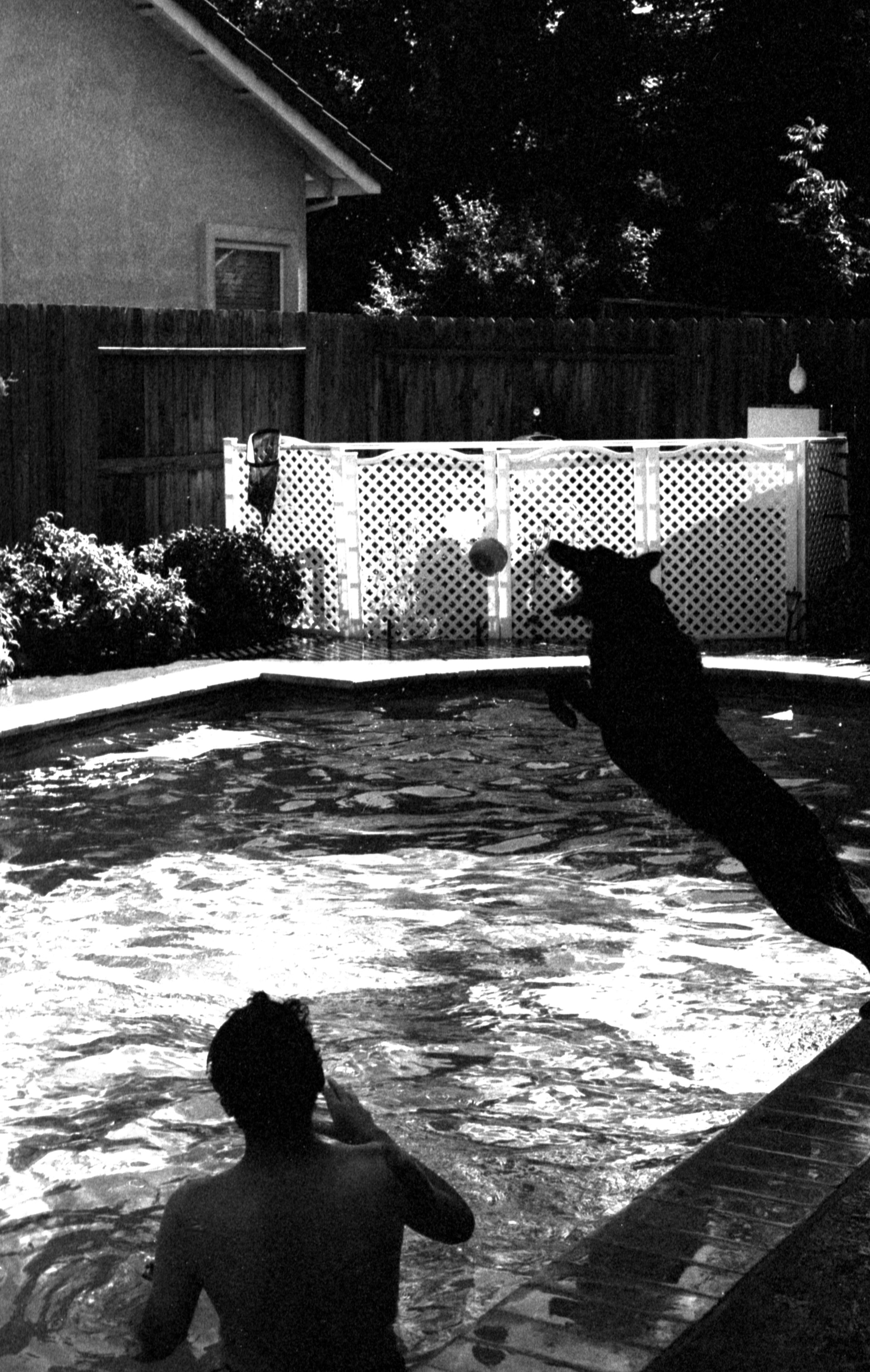 Tri-X 400 at 1600
