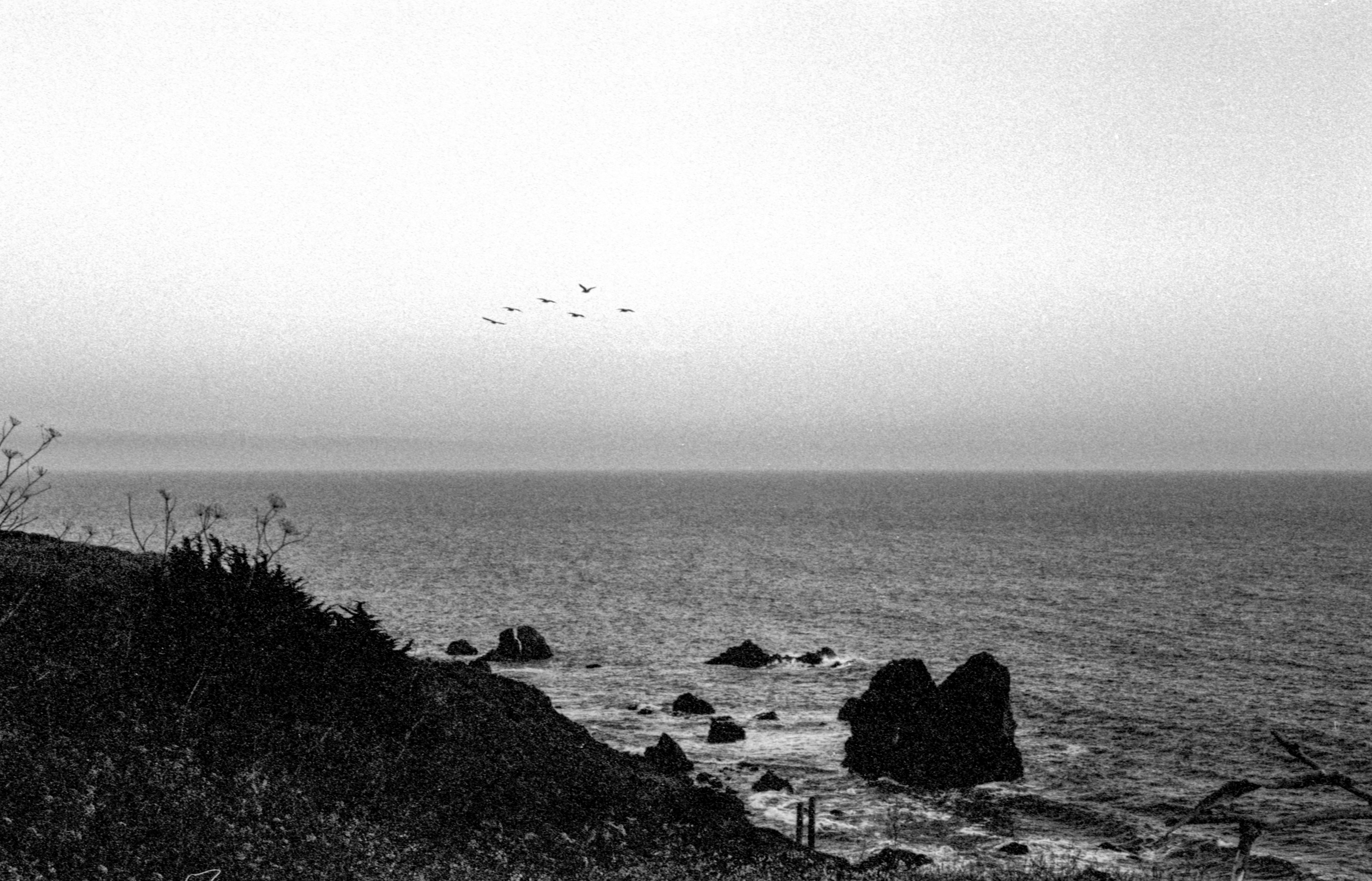 Tri-X 400 at 1600