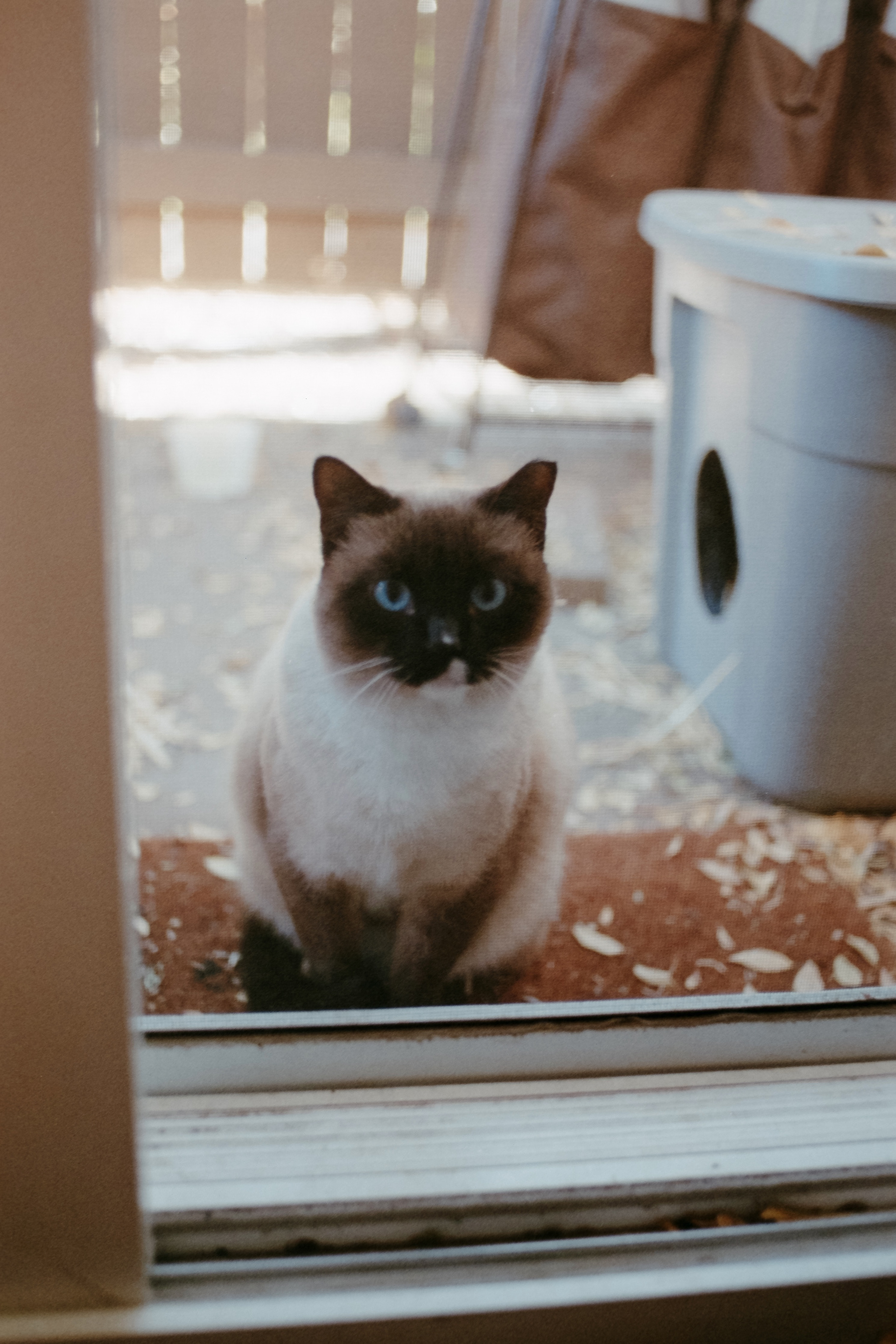 Superia 400