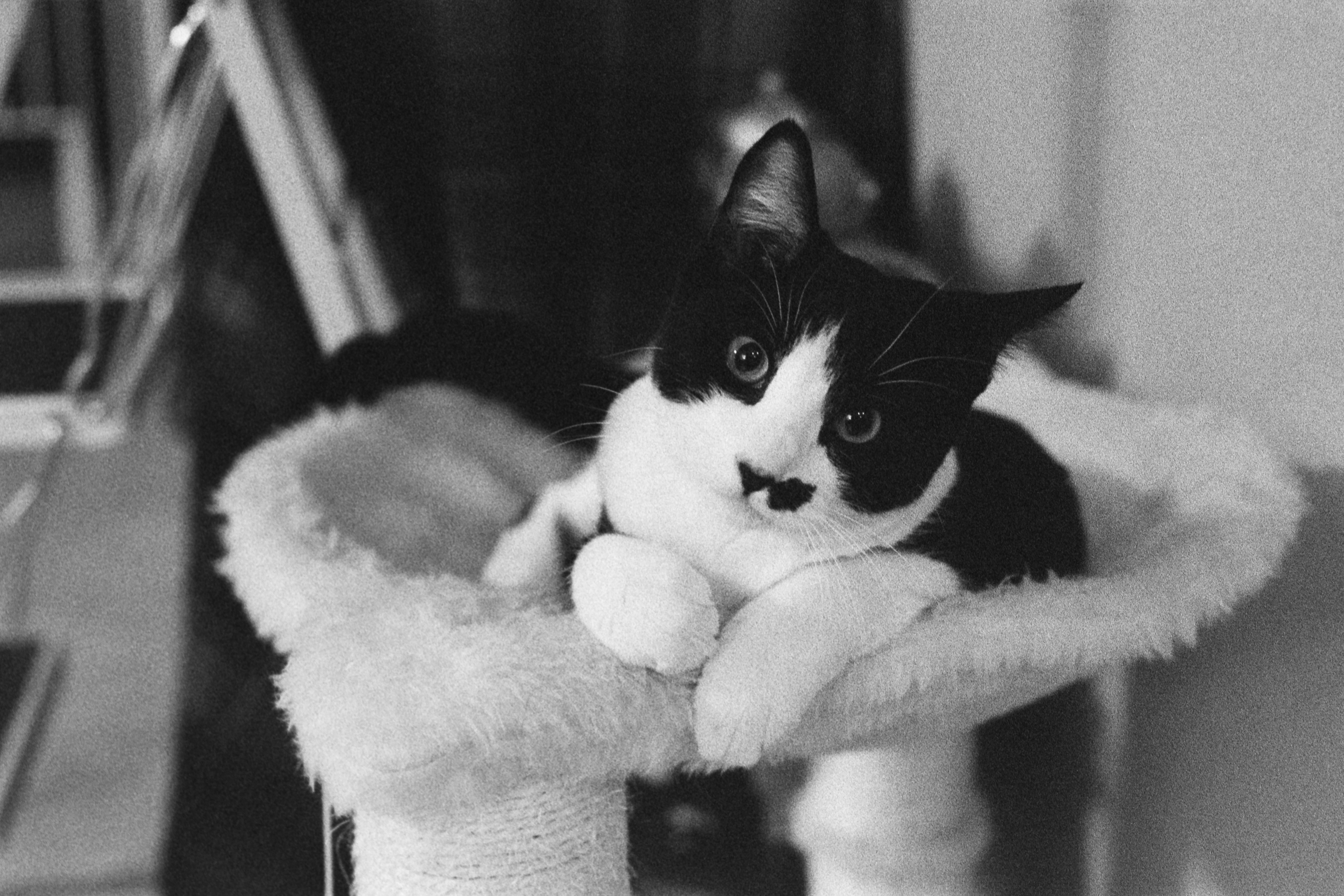Delta 3200