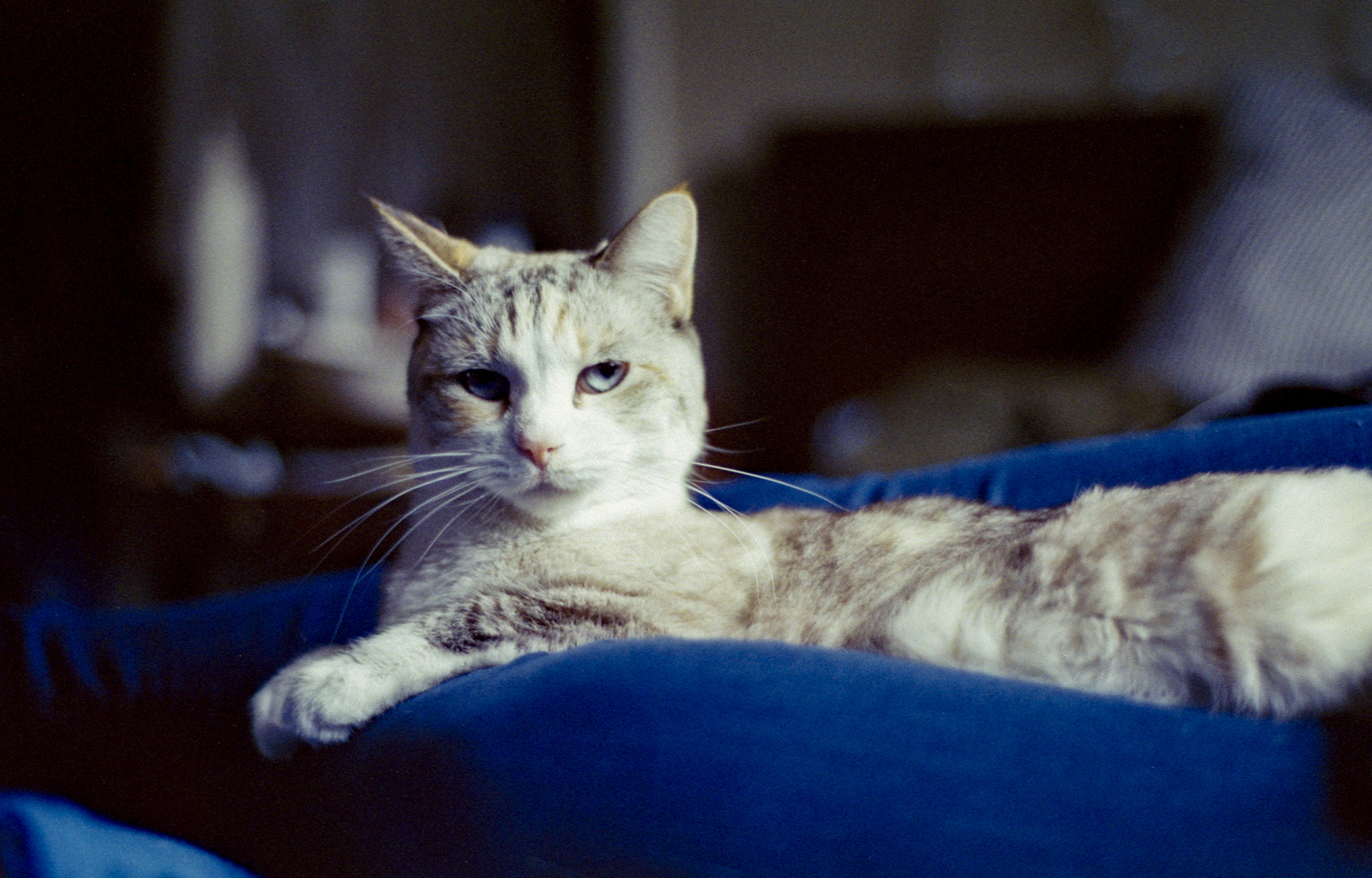 Ultramax 400