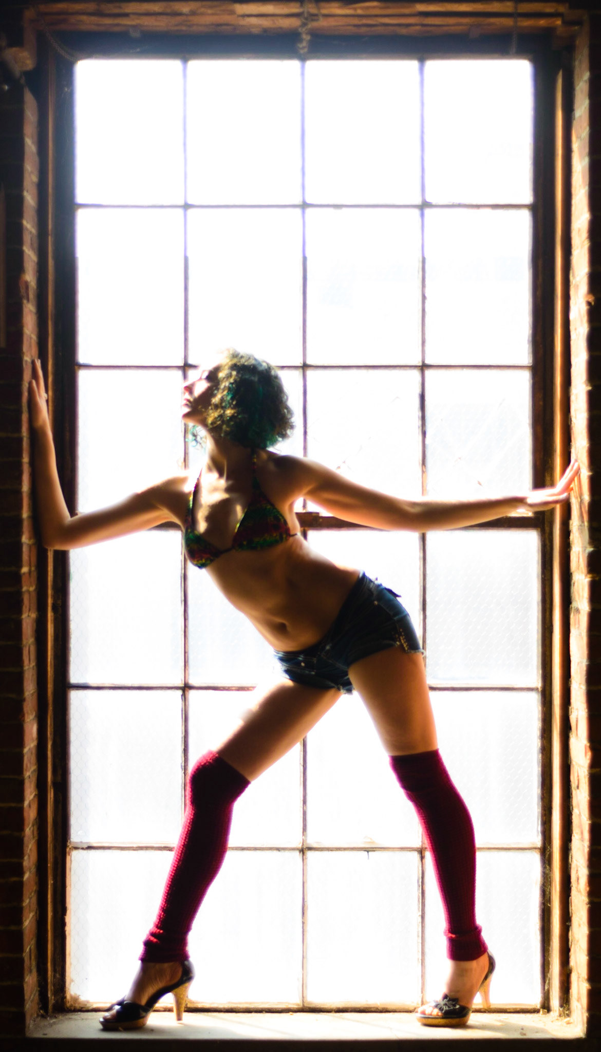 Window Series