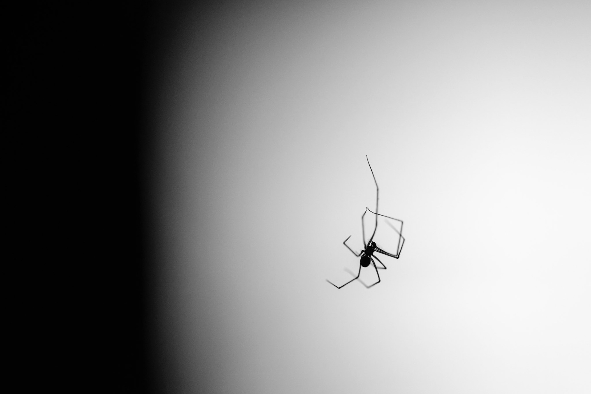 Outside My Bedroom