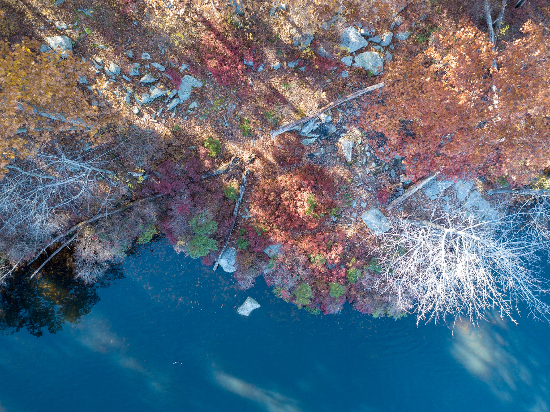 Fall Overhead
