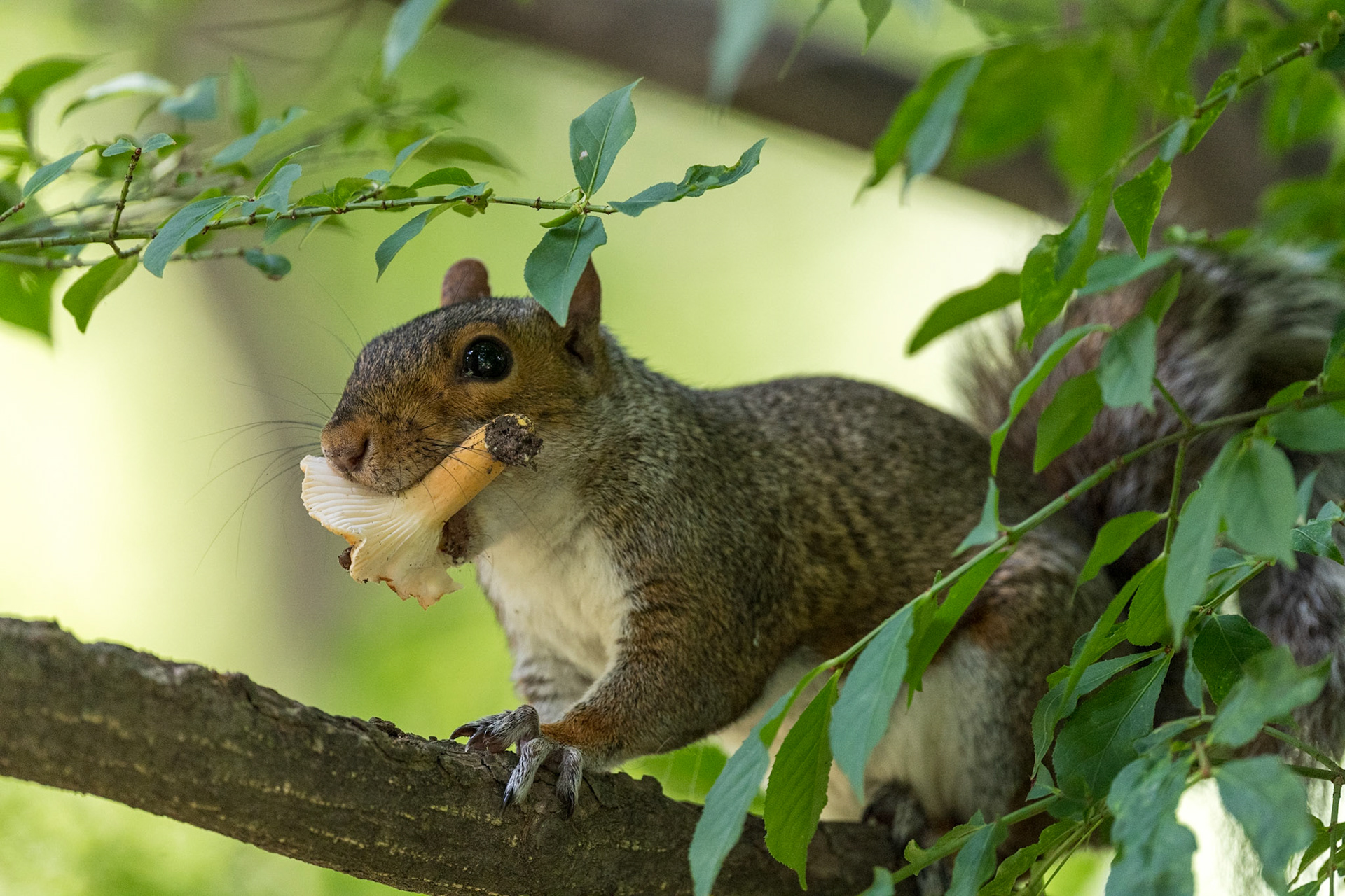 Bringing lunch from home