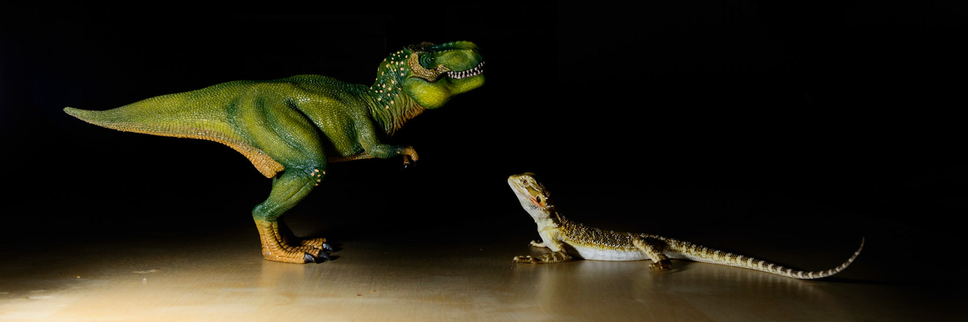 Rex meets his namesake