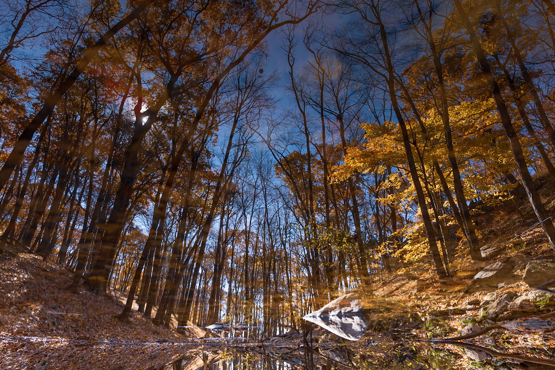A Fall Hike