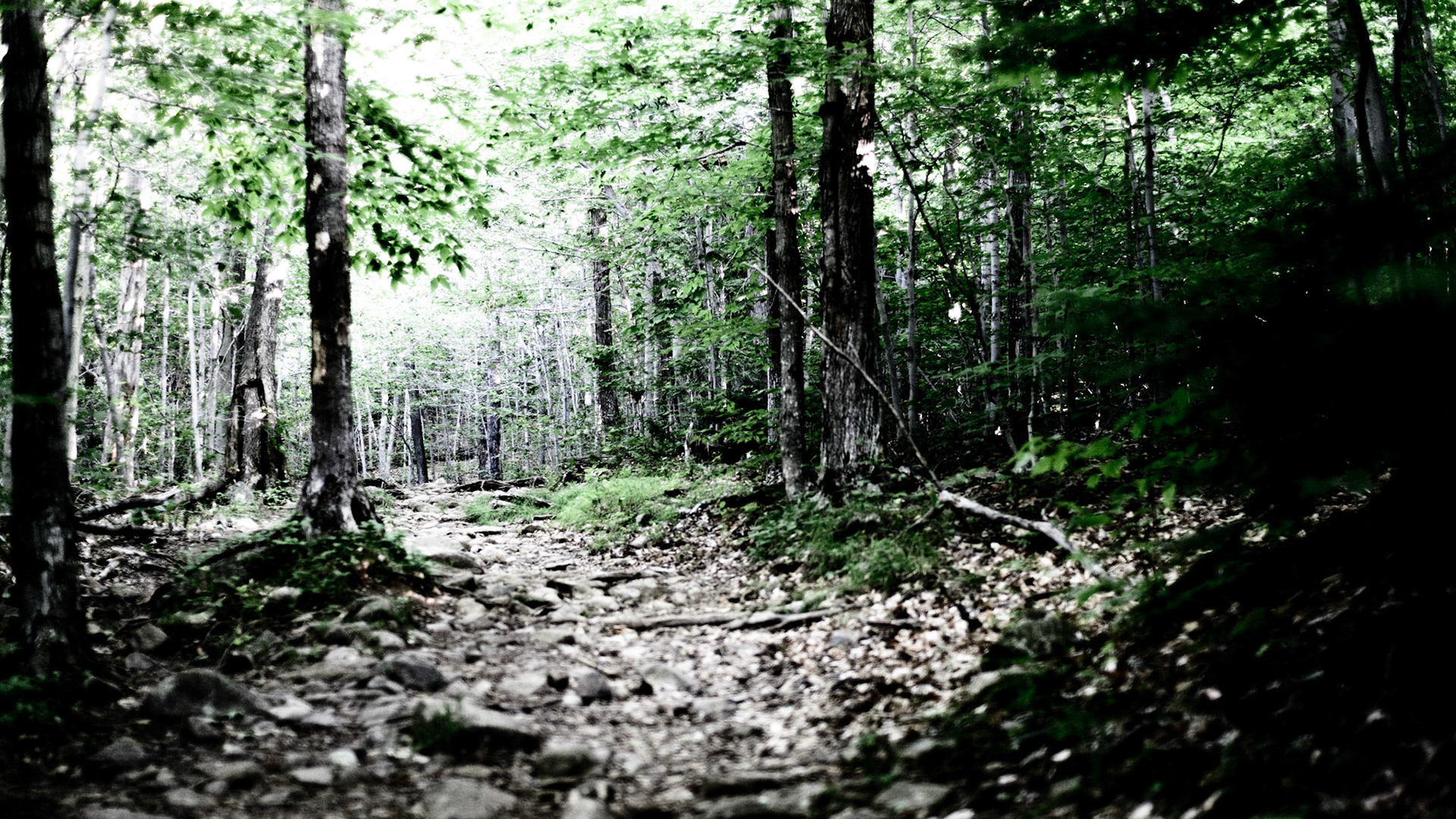 Fairy Tale Land