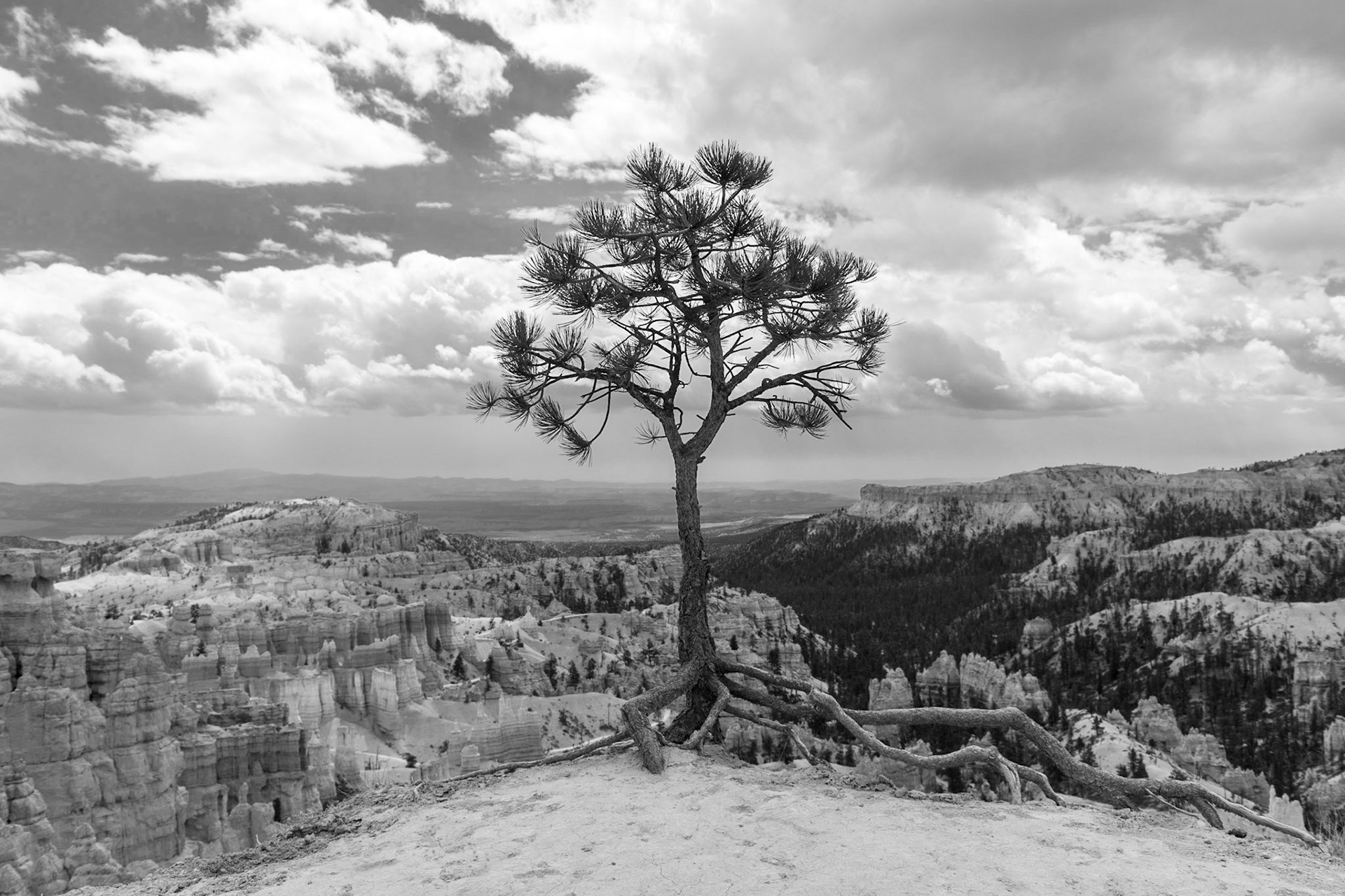 Sunrise Point