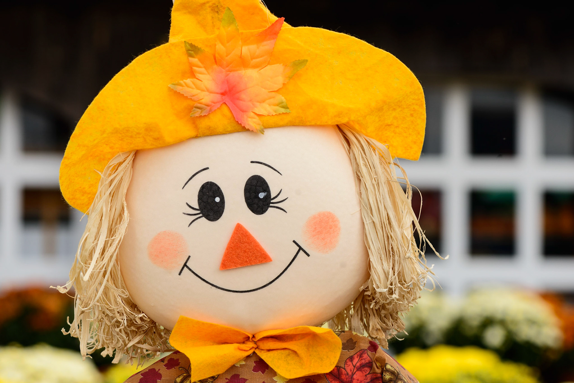Fall Tidings