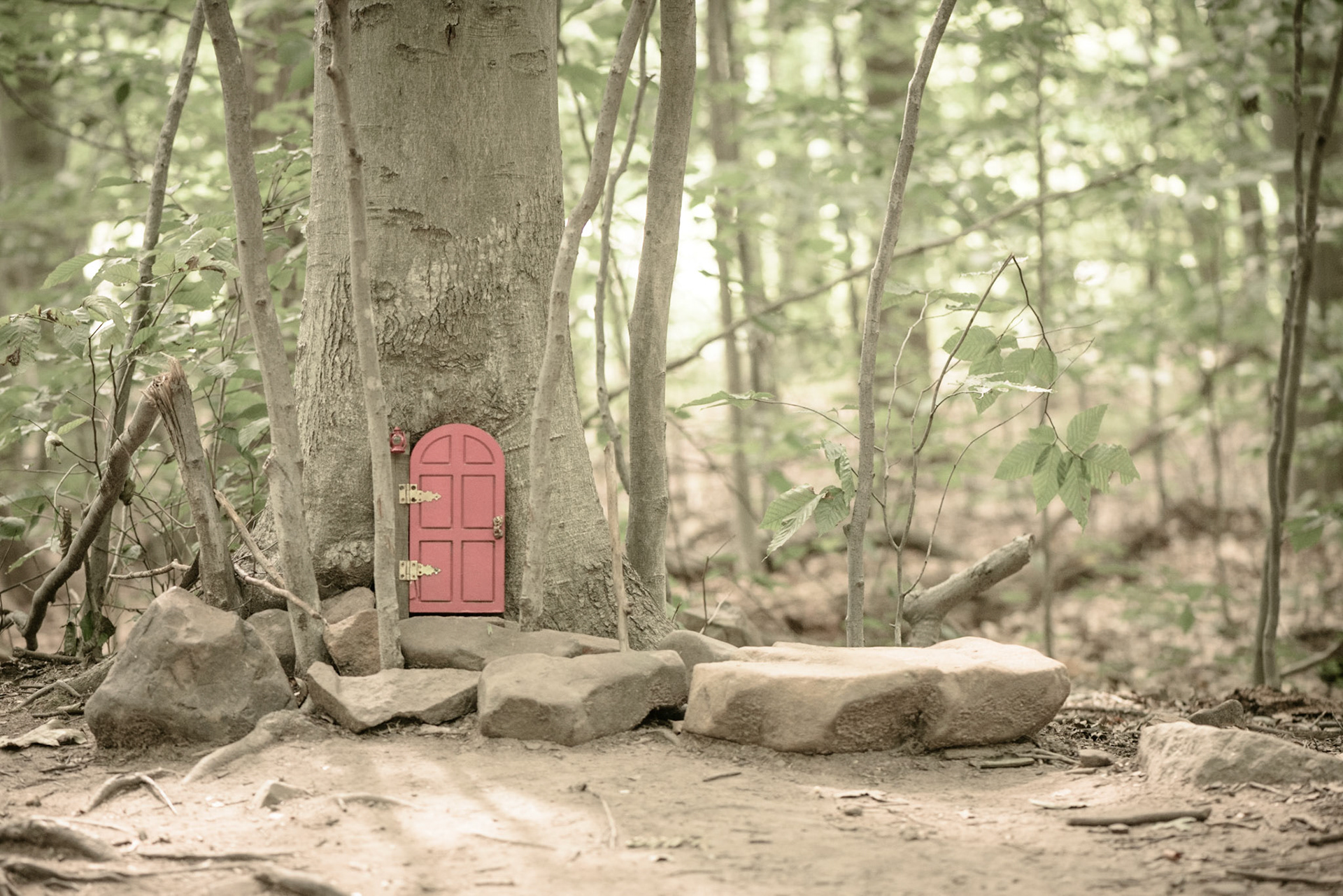 The Fairy Trail