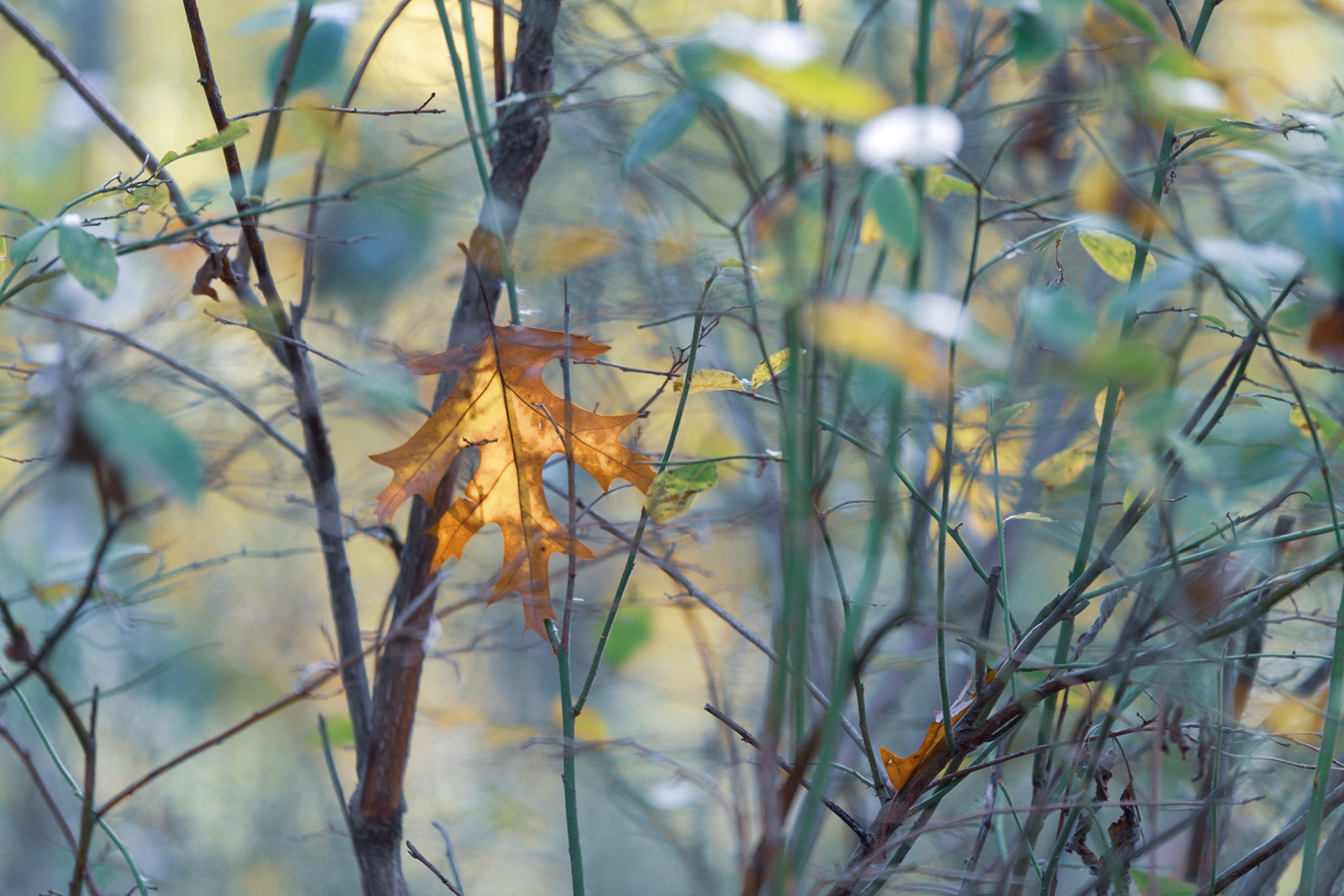Seasonality