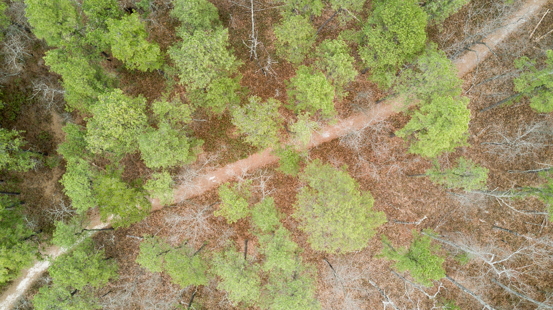Finding the way