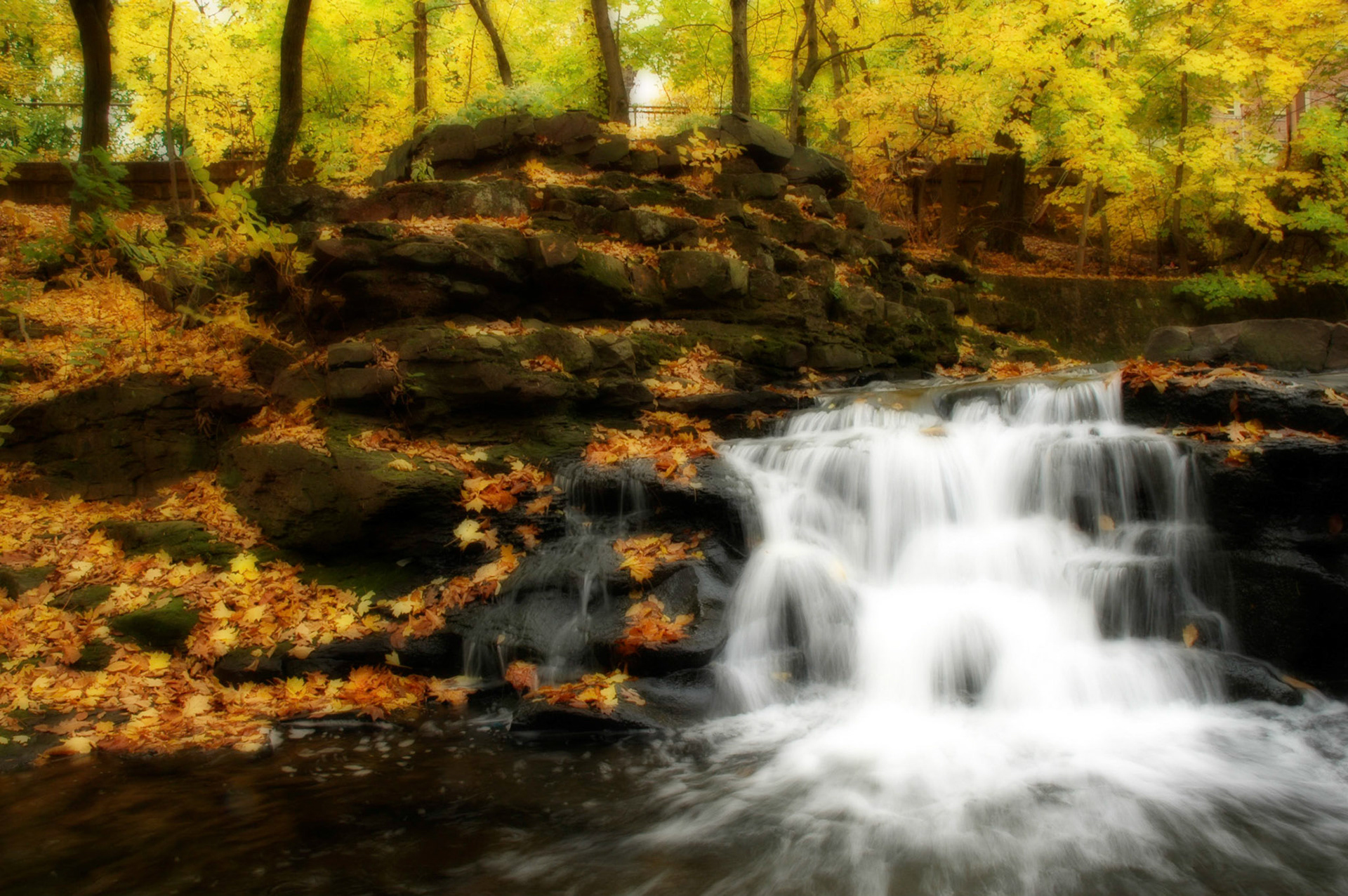 Autumn Falls