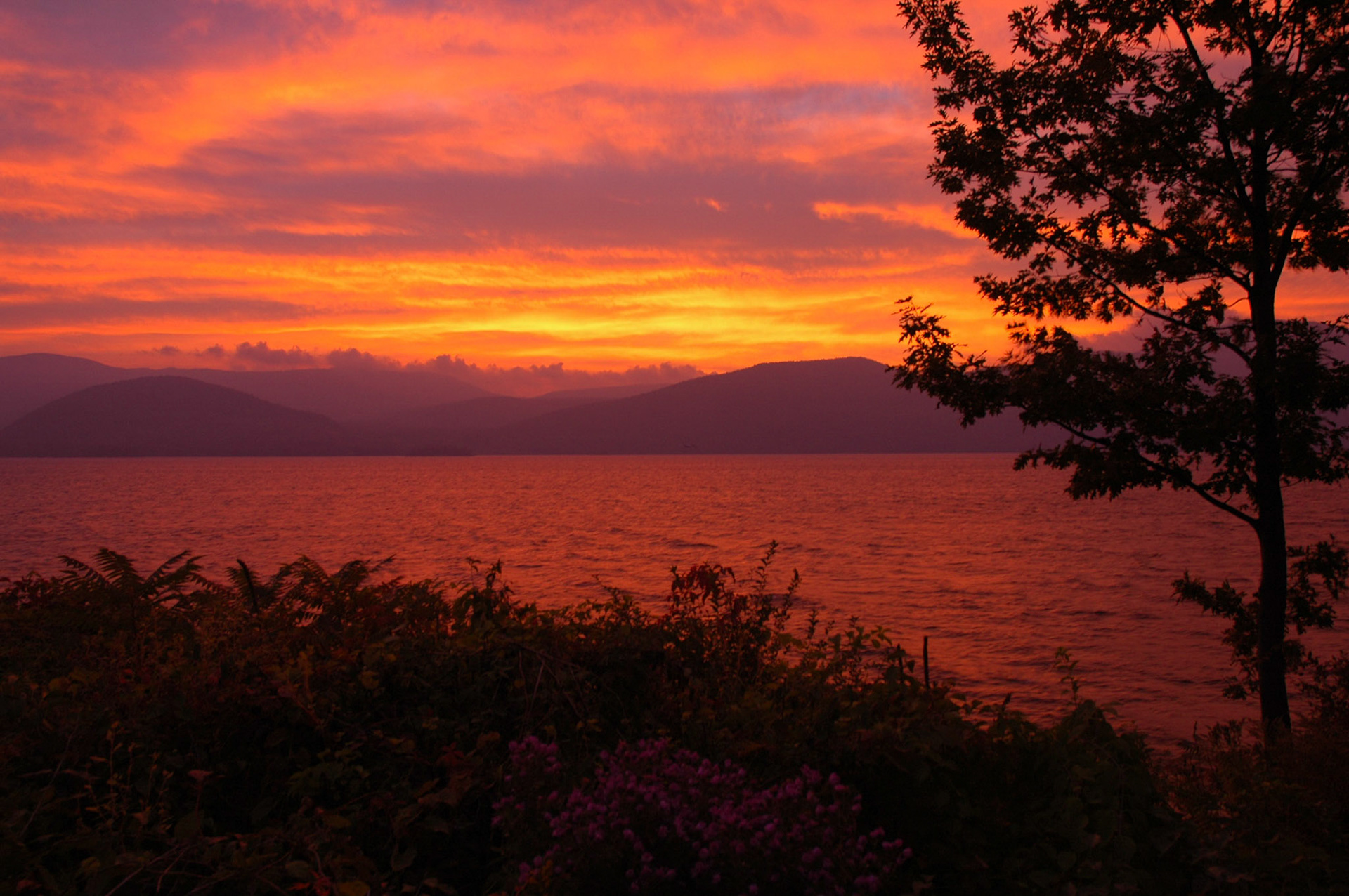 Fiery Sunrise