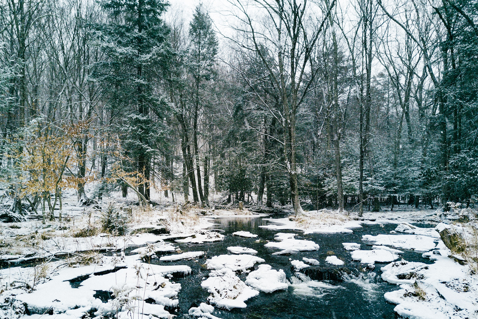 Wintry Mix