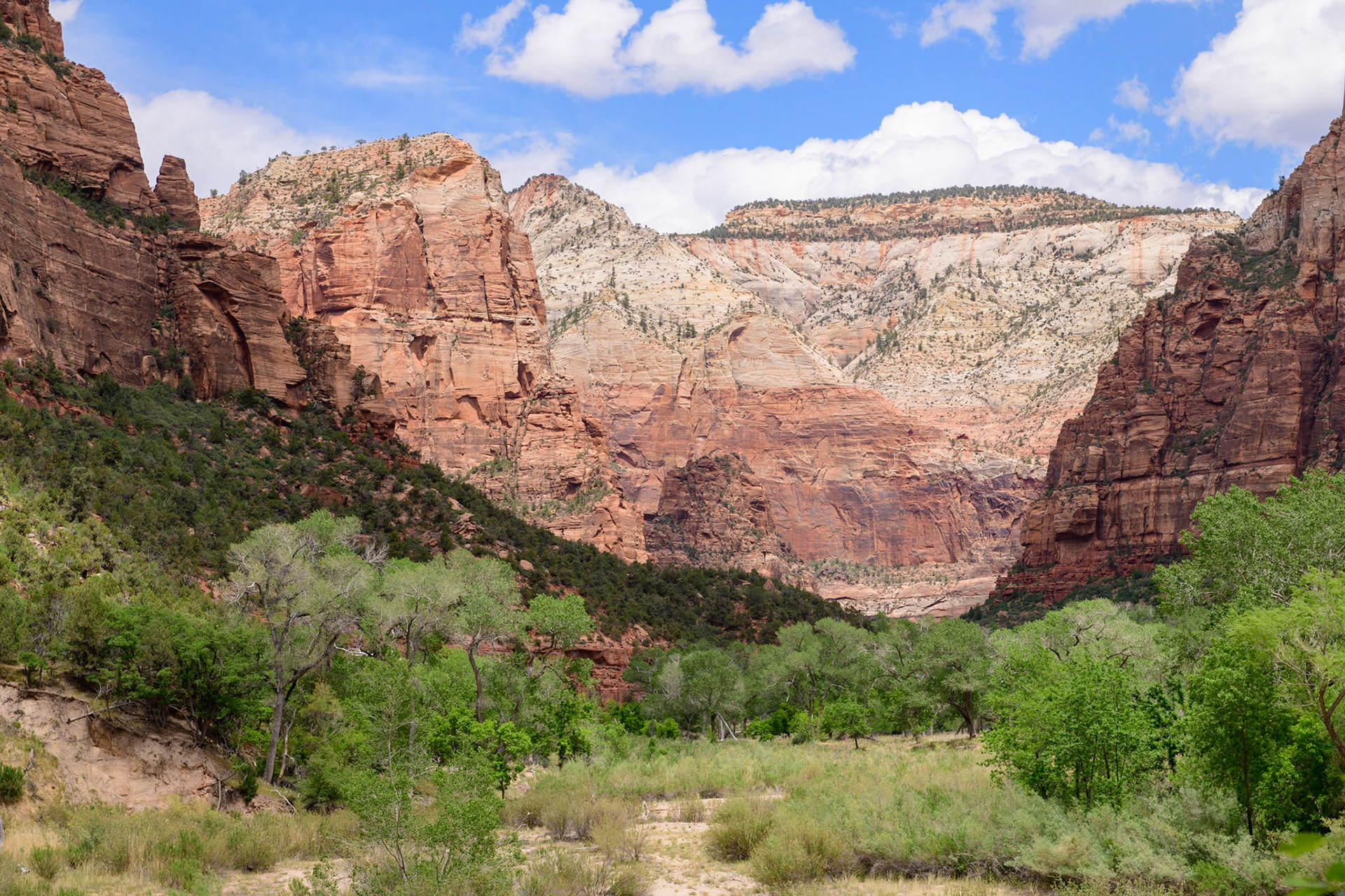 Zion National Park