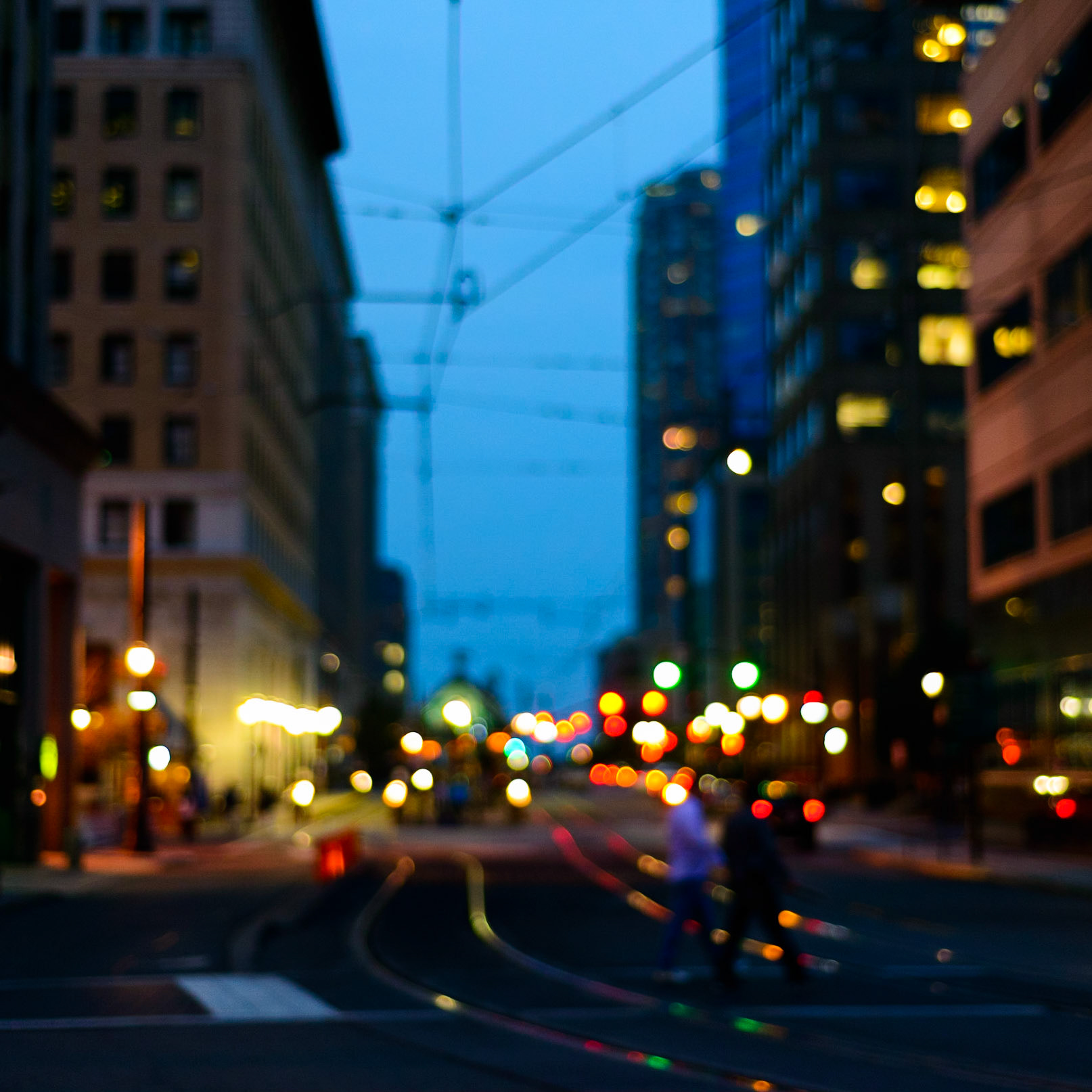 Evening Stroll