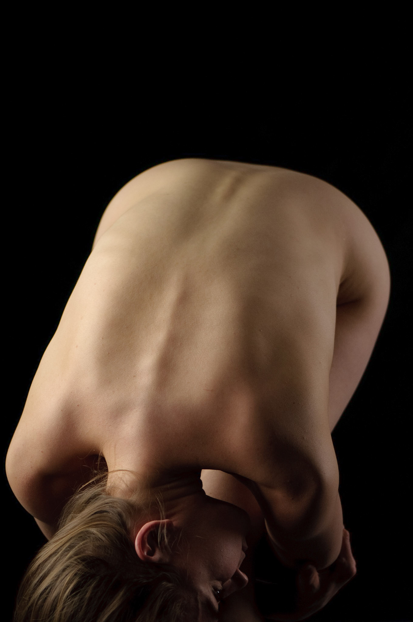 Spine