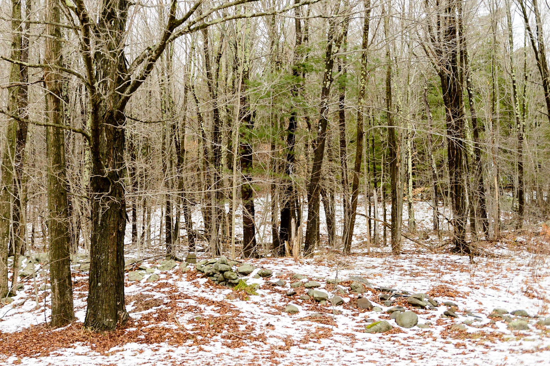 Wintery Mix