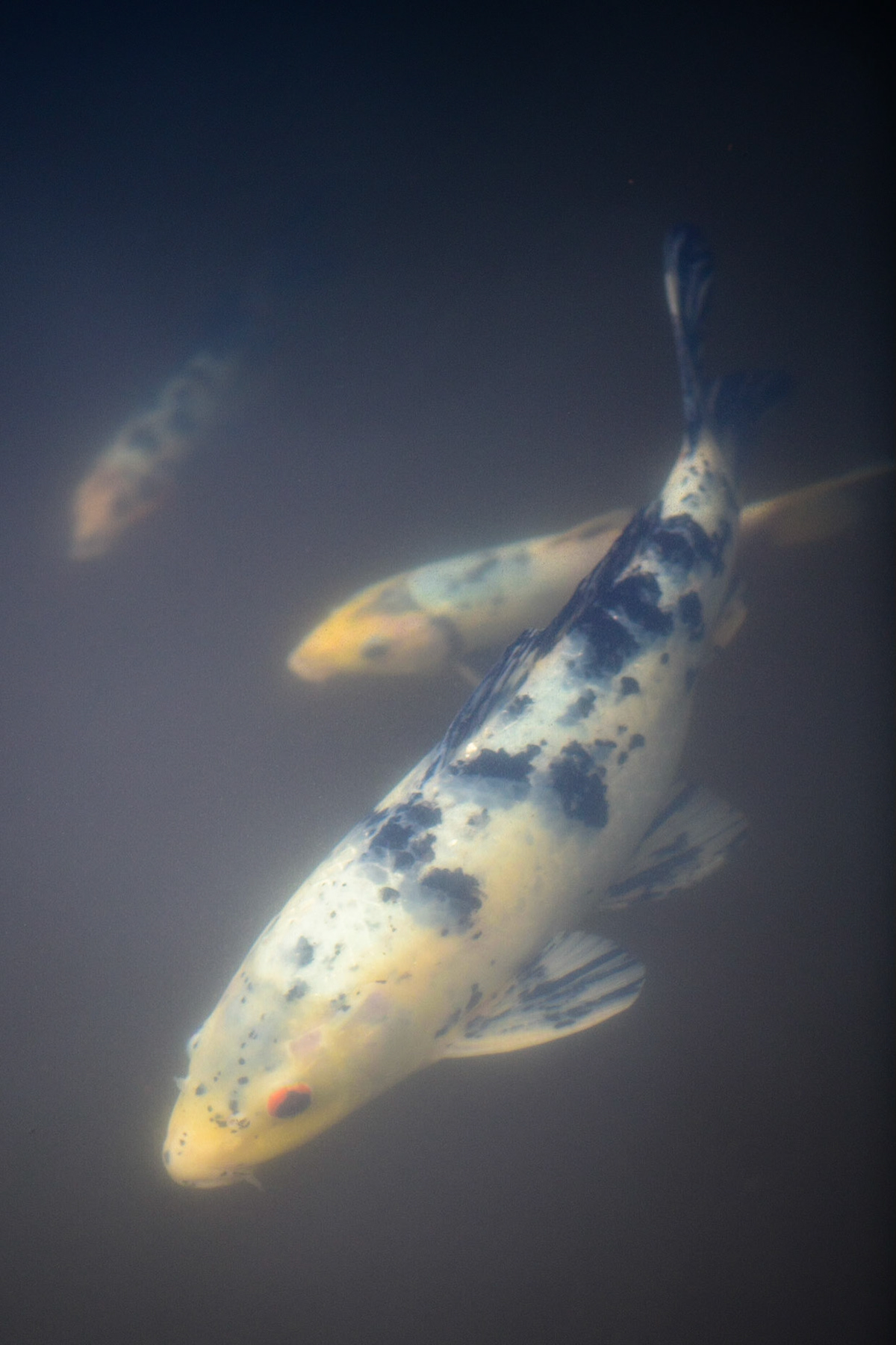 Below the surface