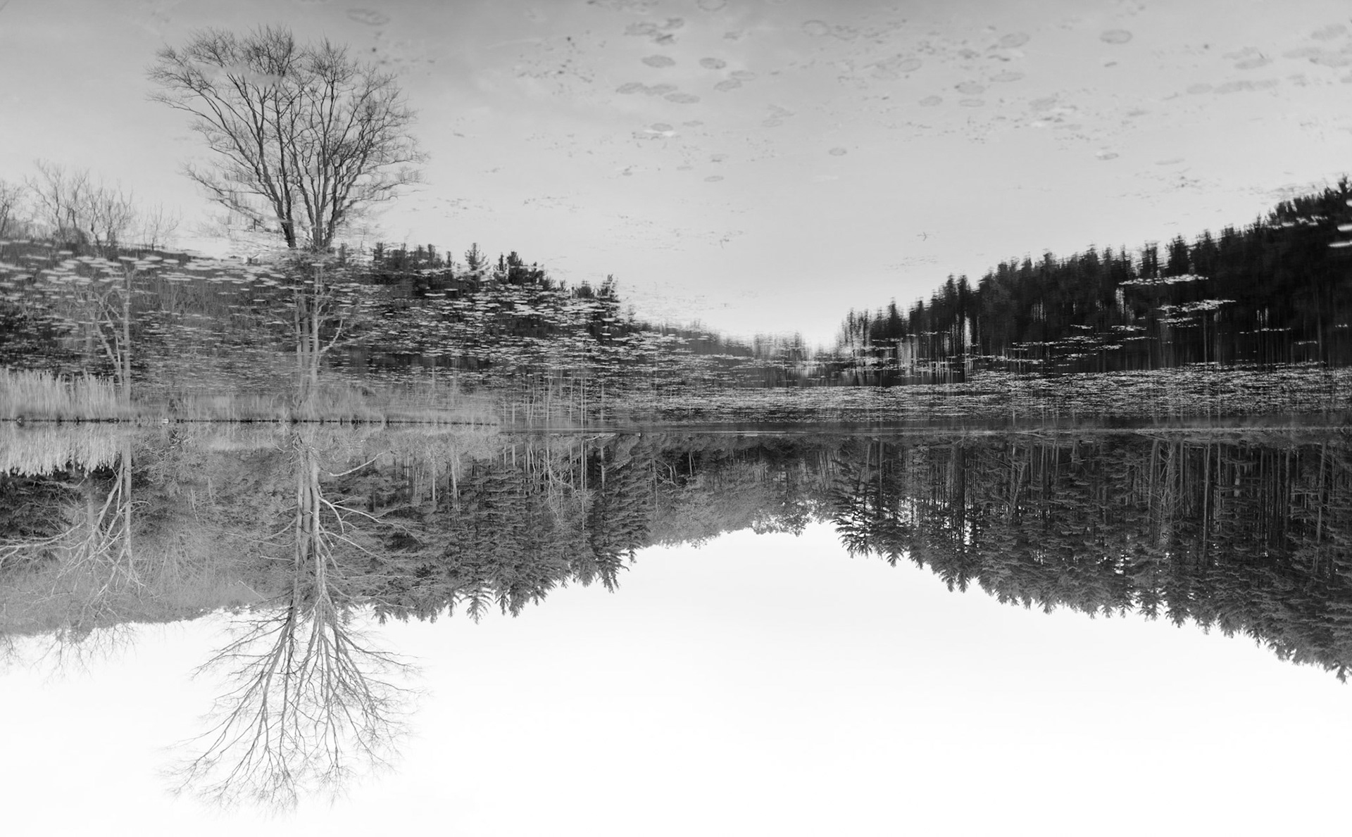 Mirror, Mirror