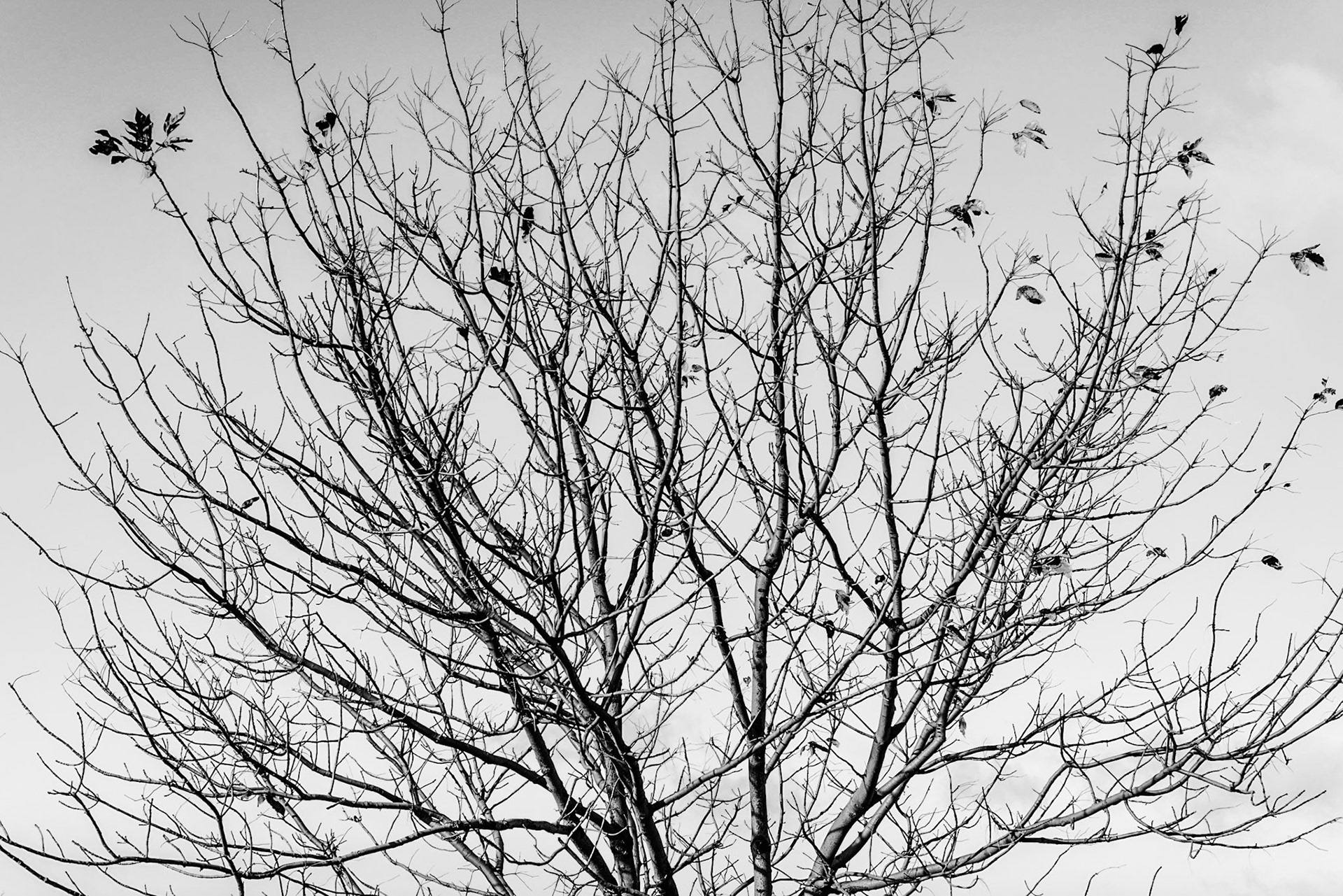 Hanging On