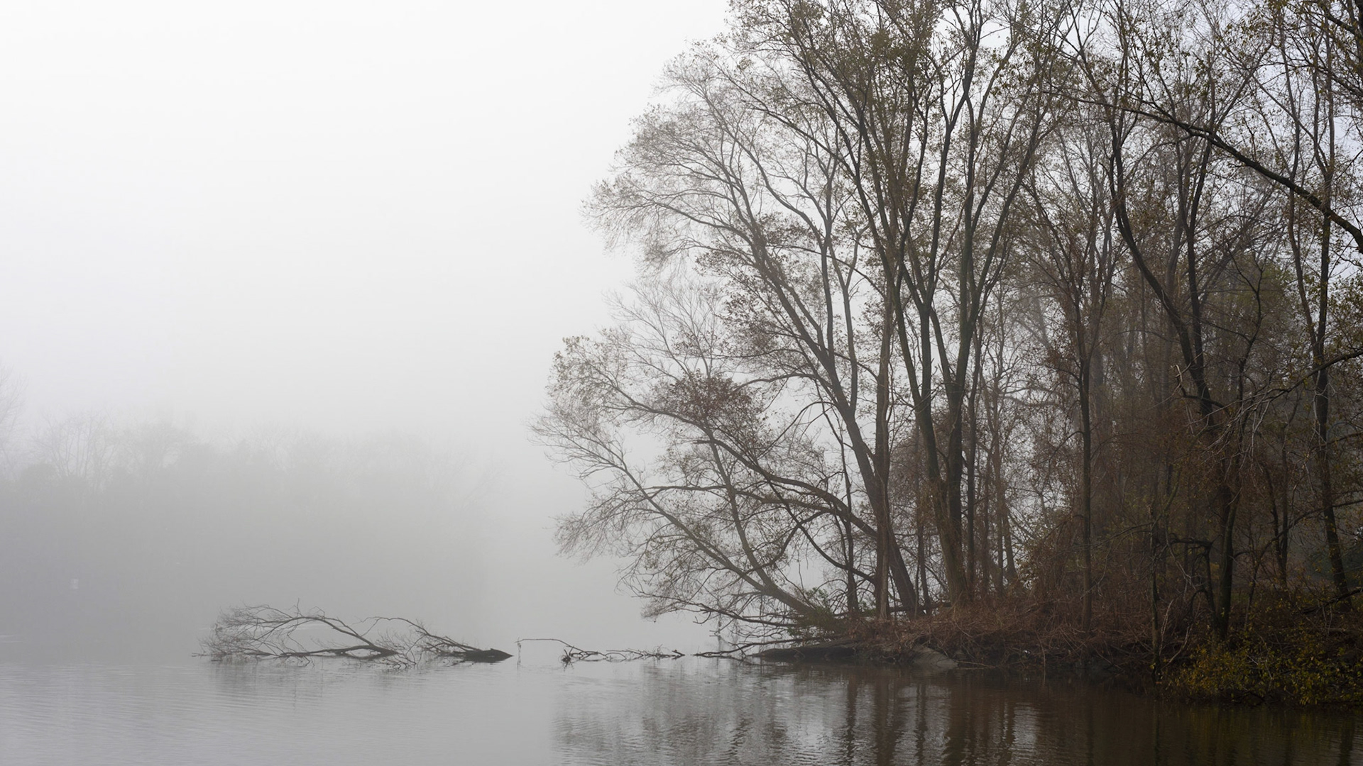 Winter Morning