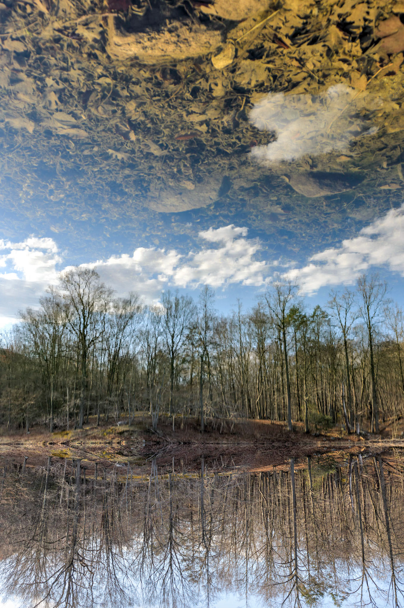 Layers of Reality