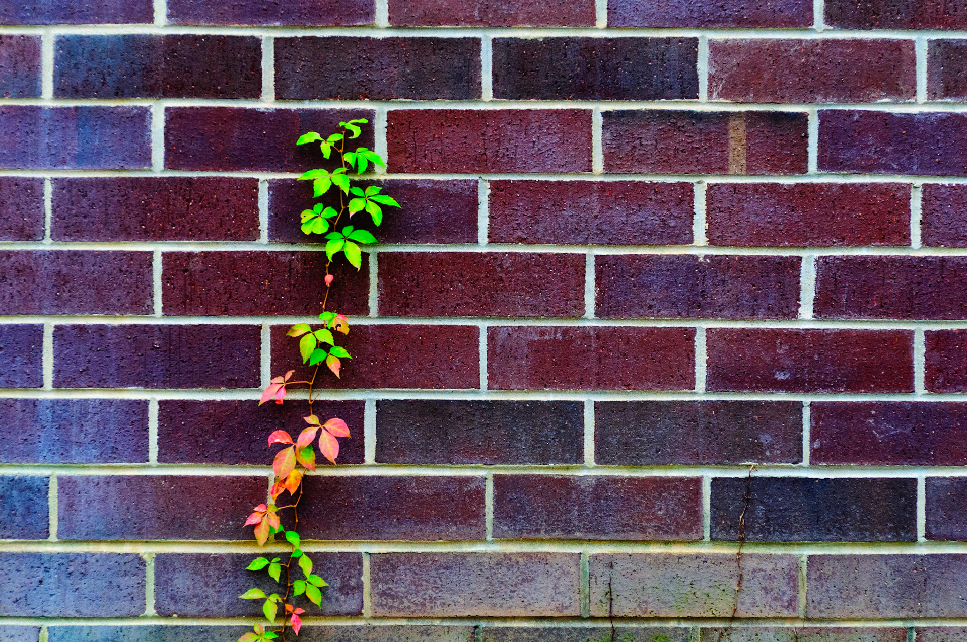 Up a Wall