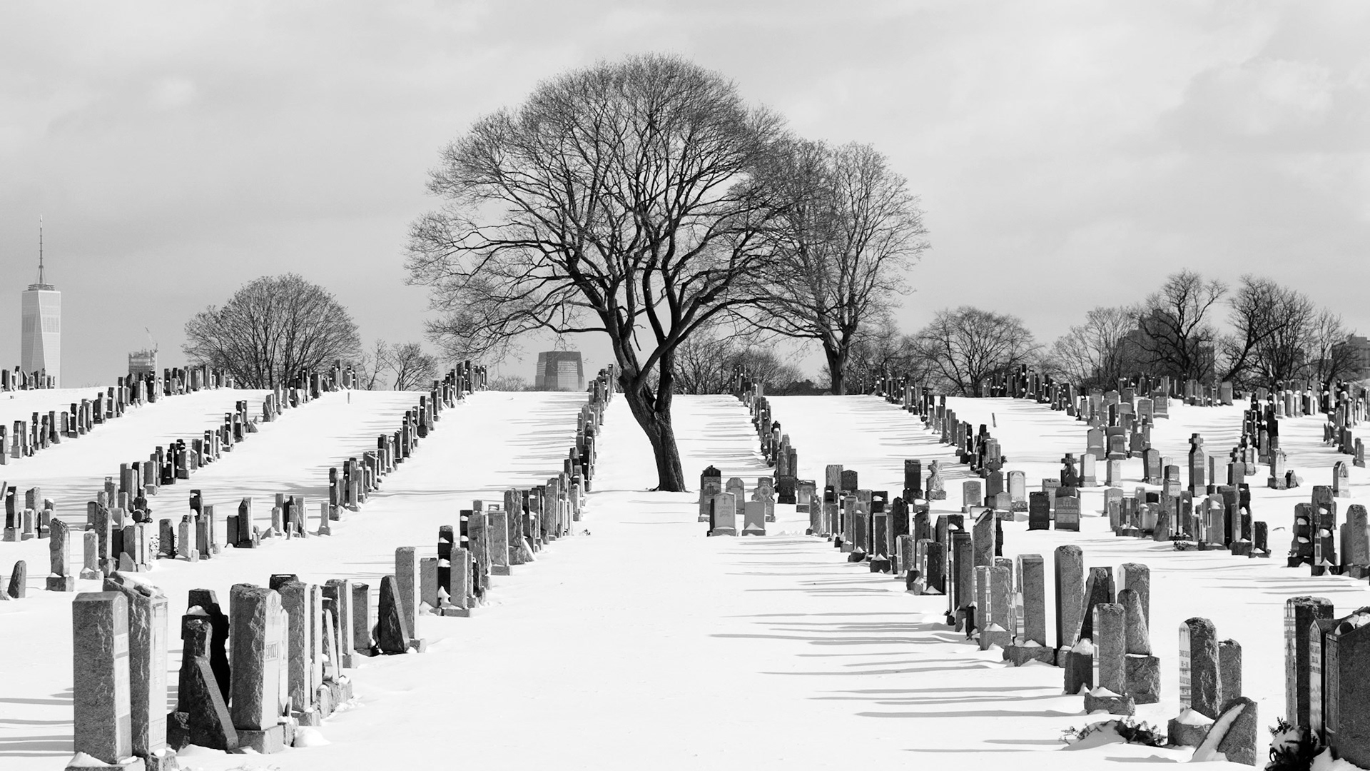 Cold Place to Rest