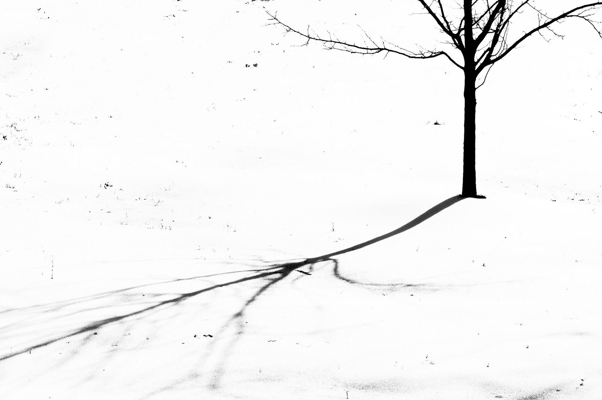 Black and White