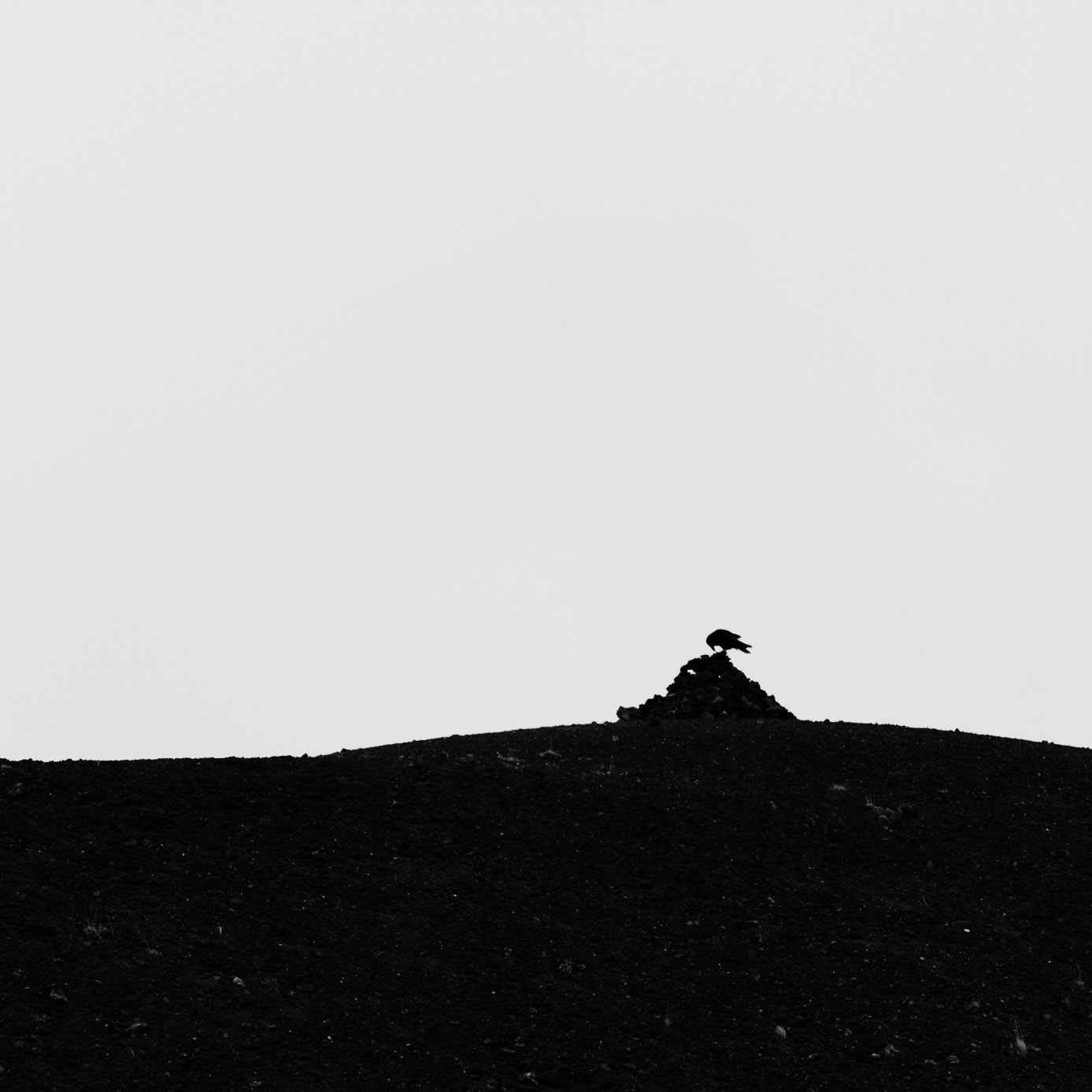 Odin