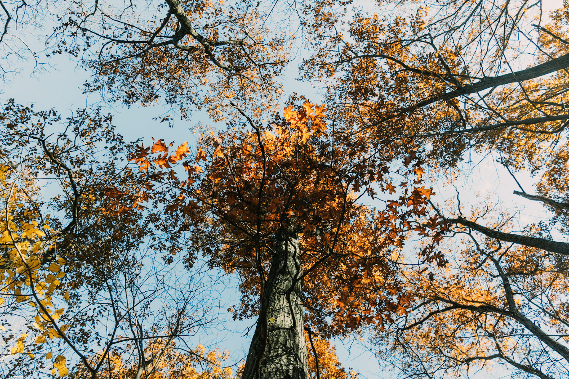 A Fall Hike